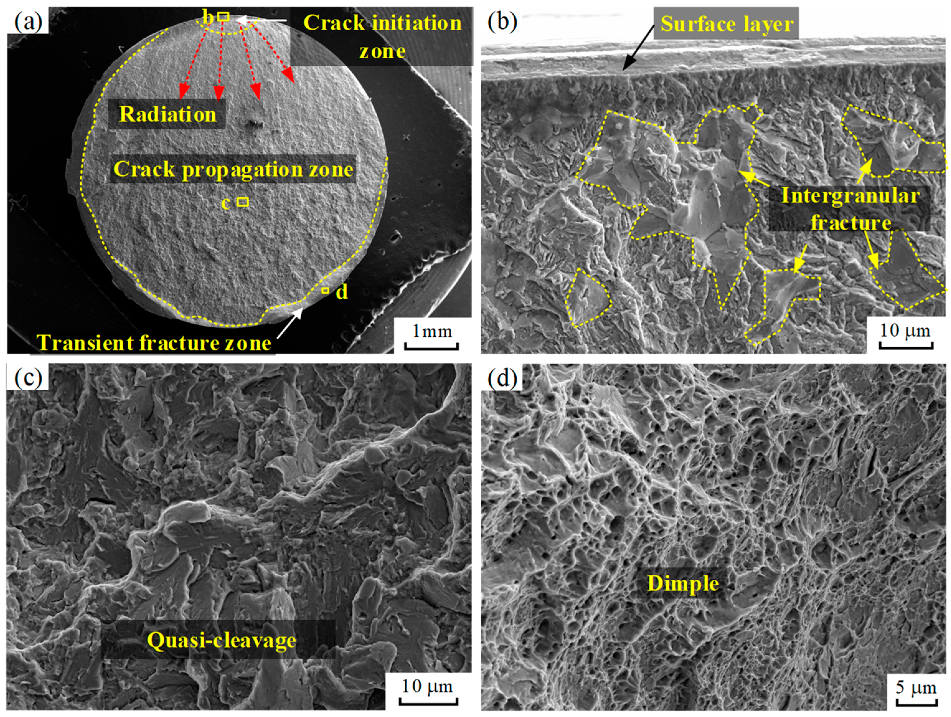 Coatings 14 01484 g010