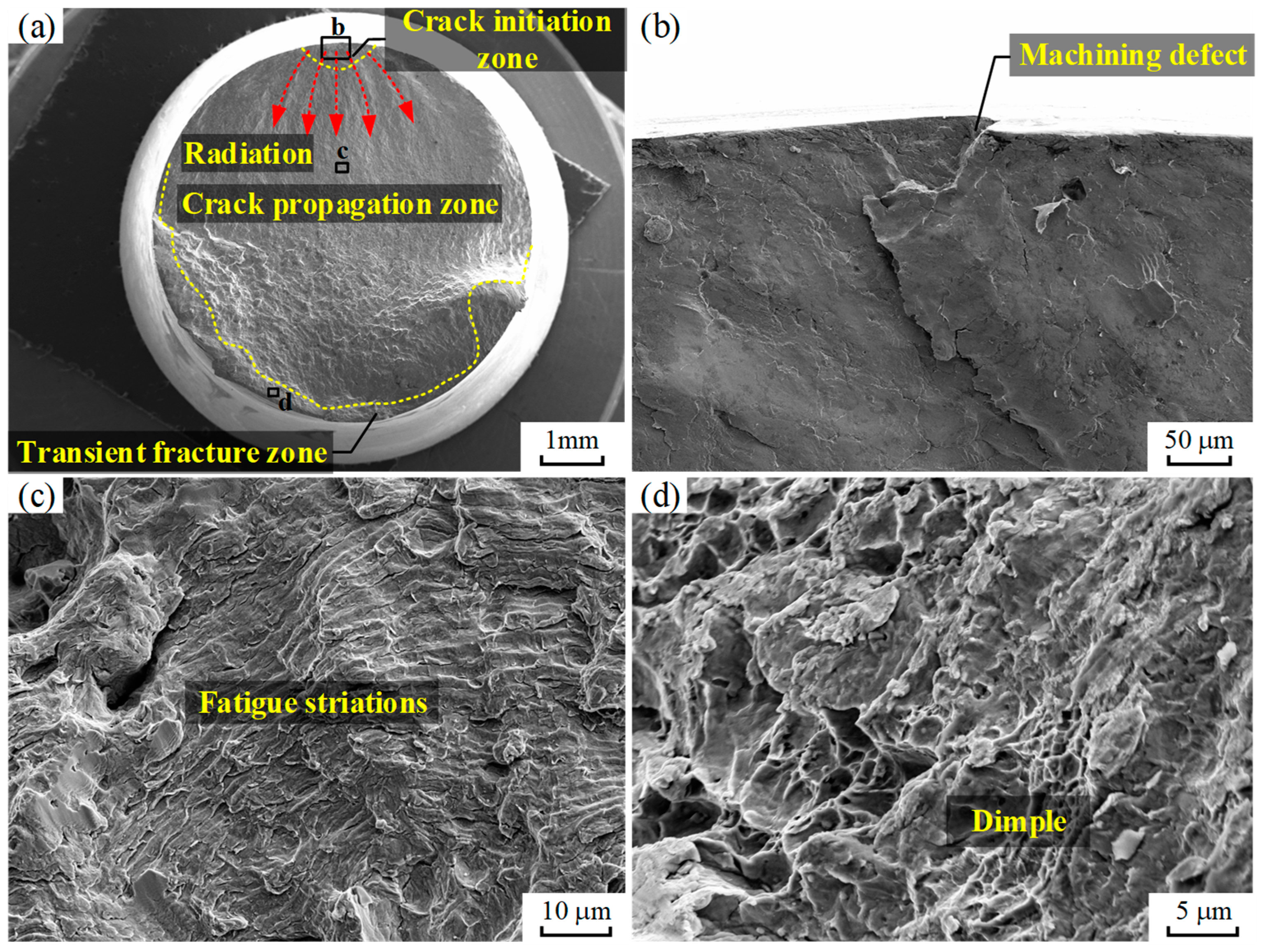 Coatings 14 01484 g011
