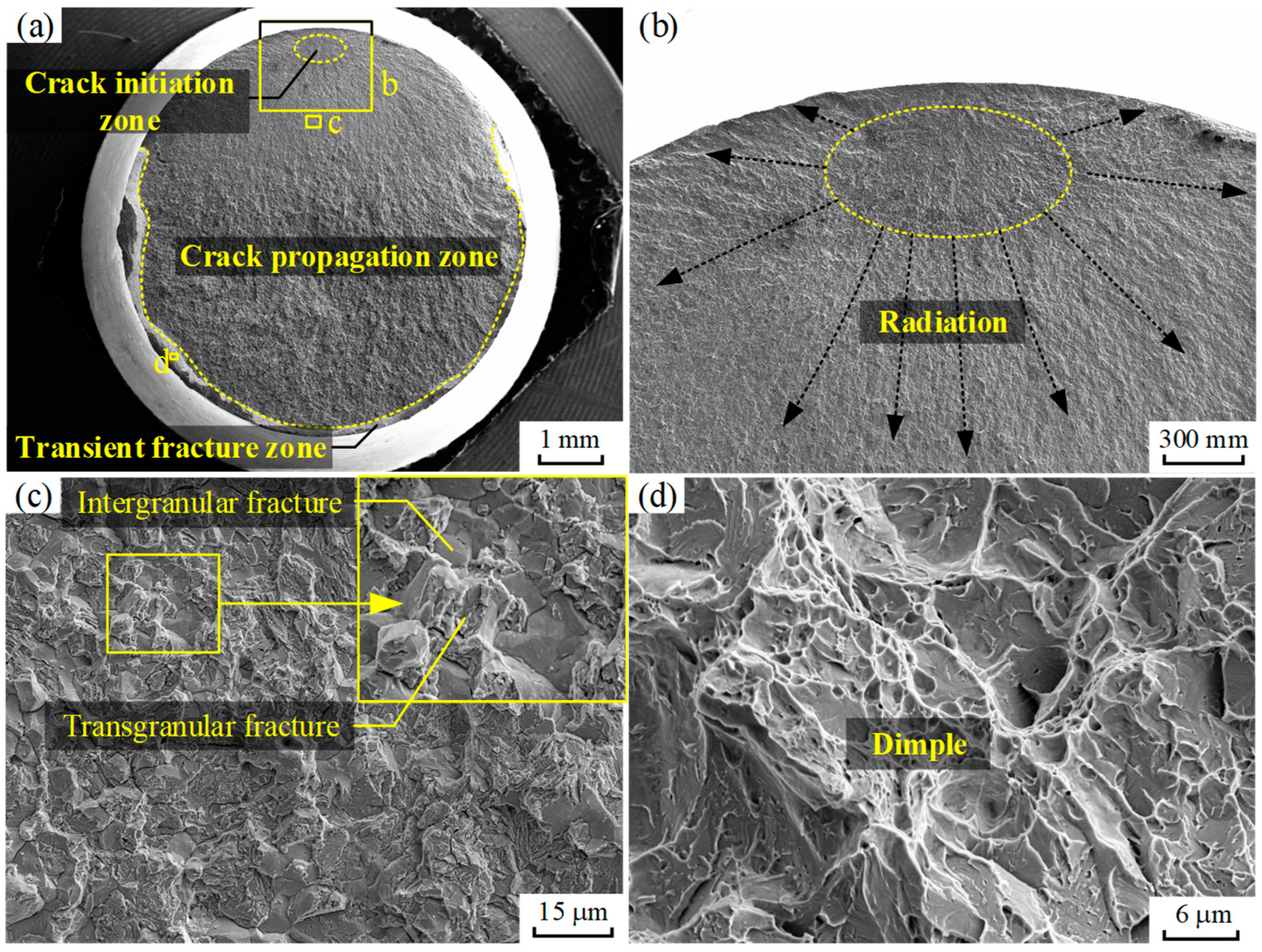 Coatings 14 01484 g012