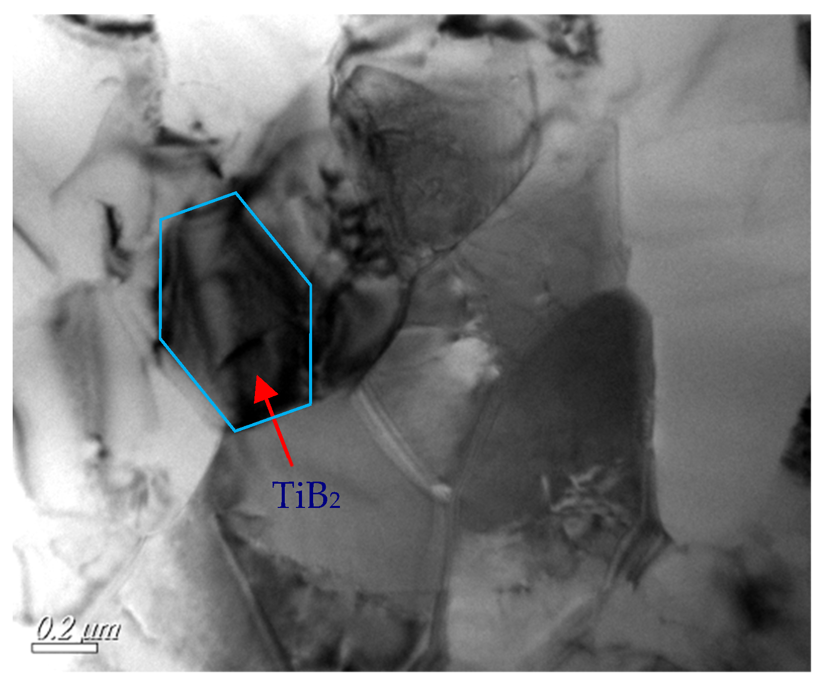 Coatings 14 01485 g005