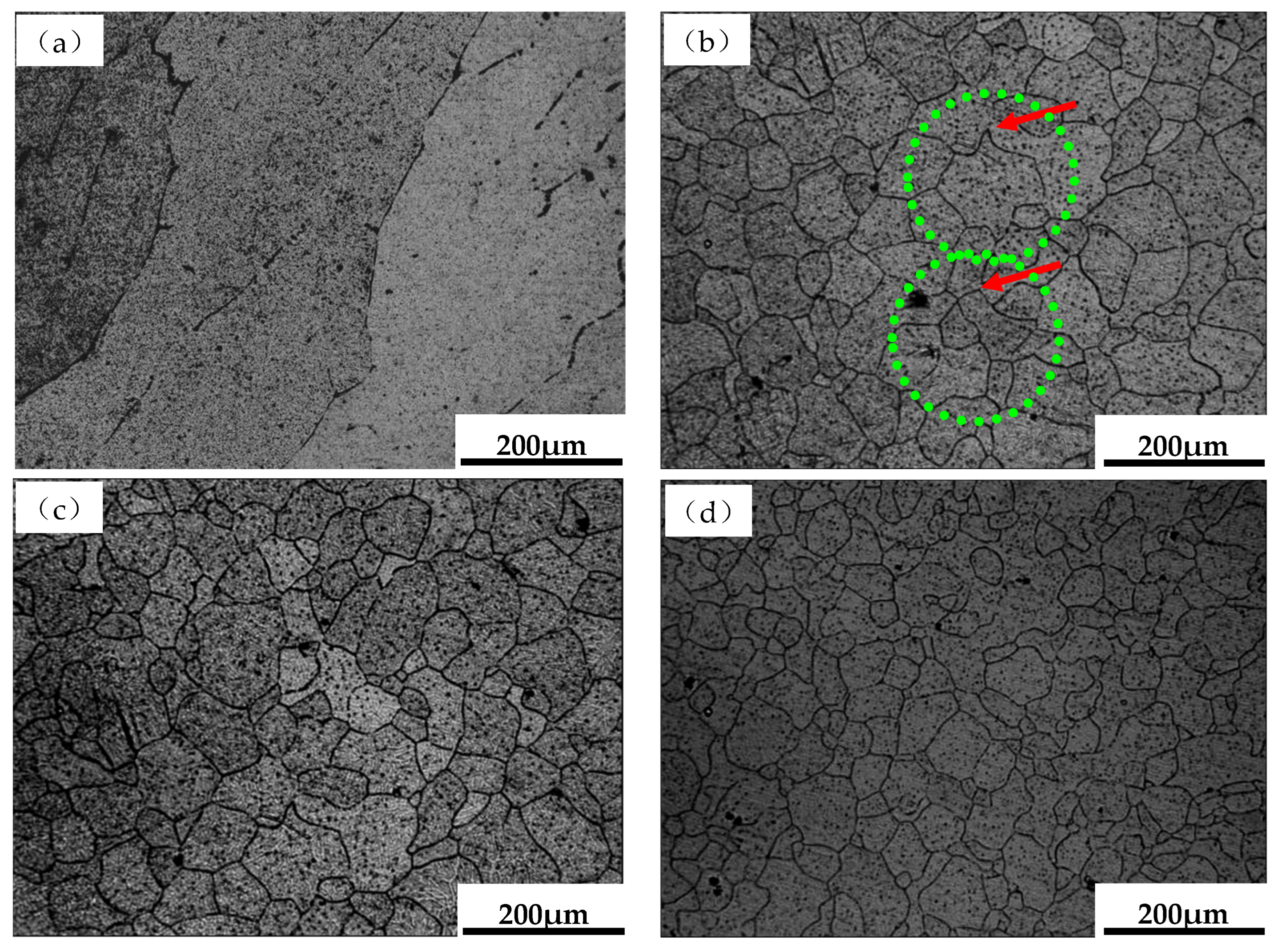 Coatings 14 01485 g007