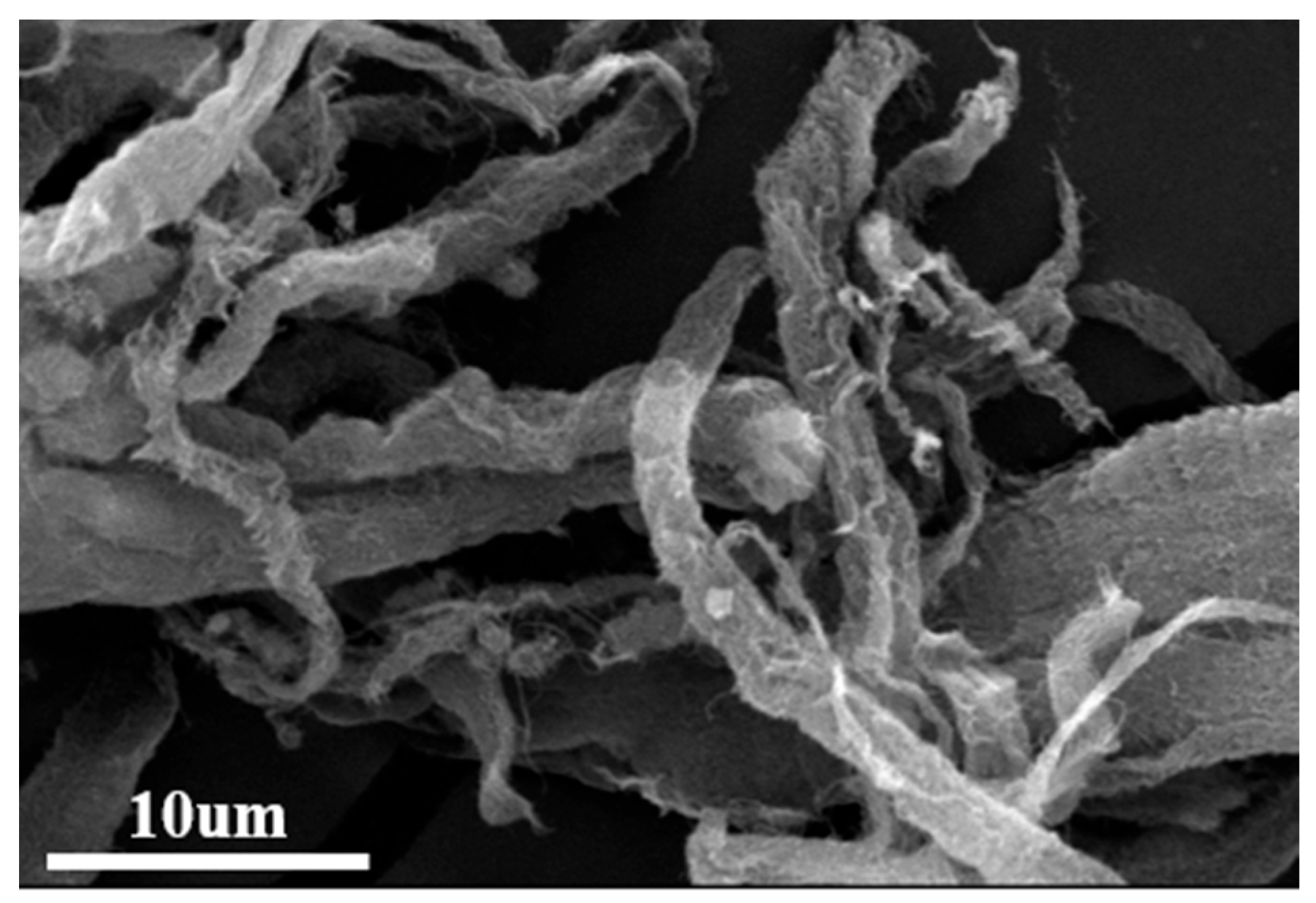 Coatings 14 01493 g003