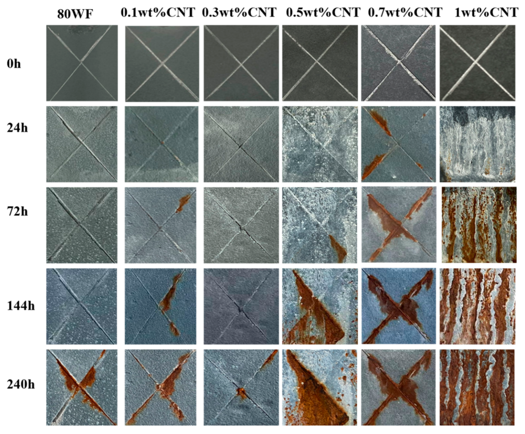 Coatings 14 01493 g013