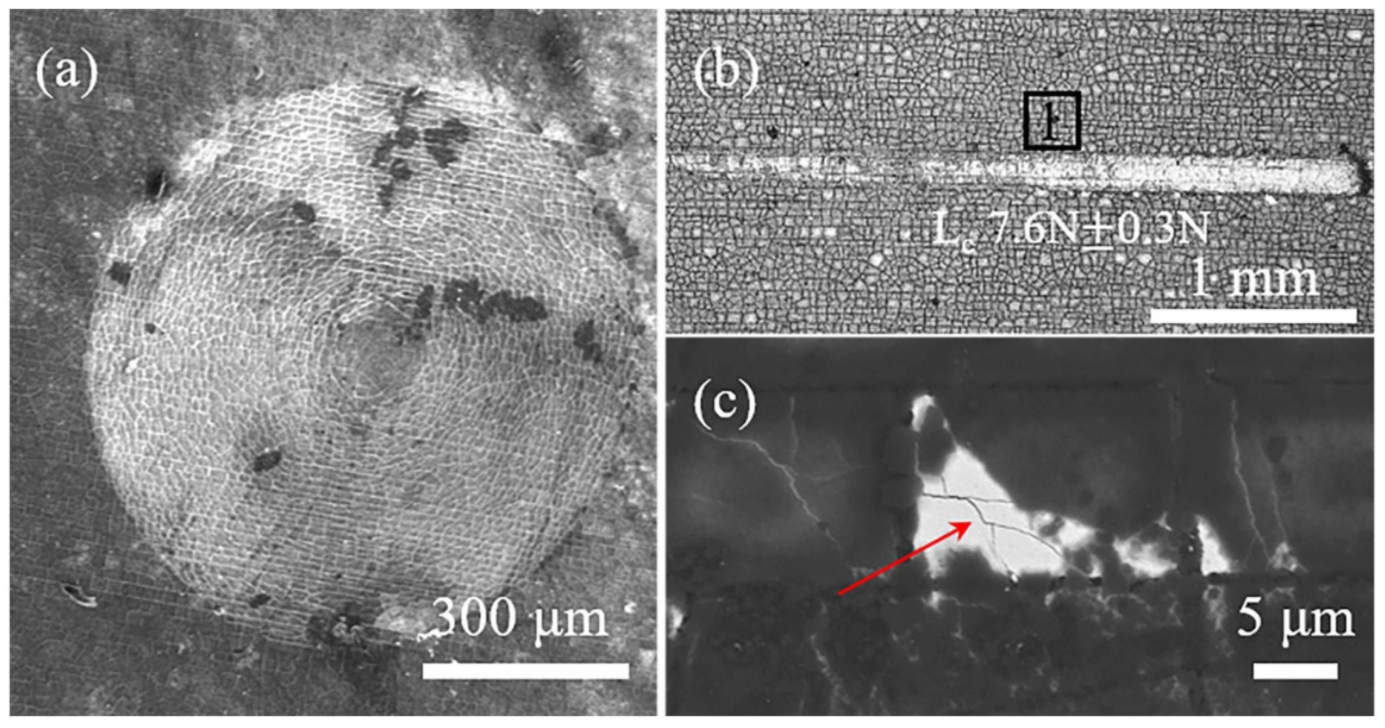 Coatings 14 01494 g002