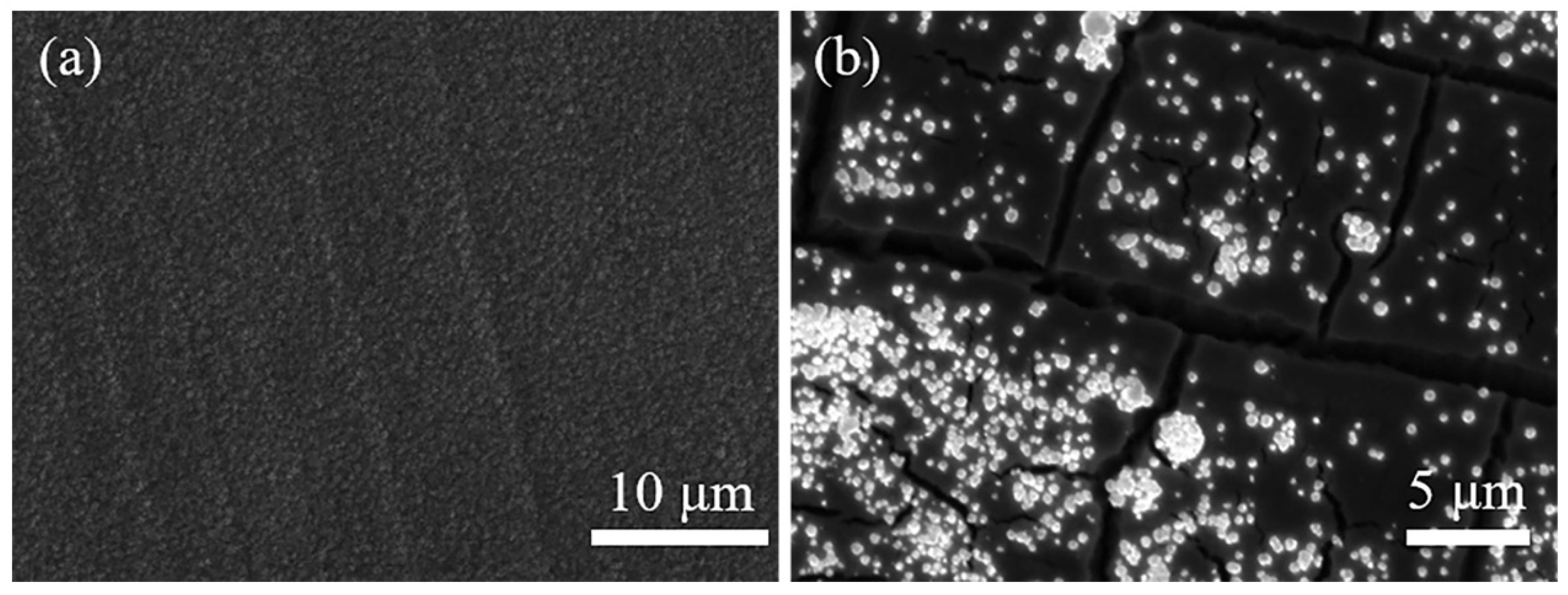 Coatings 14 01494 g004