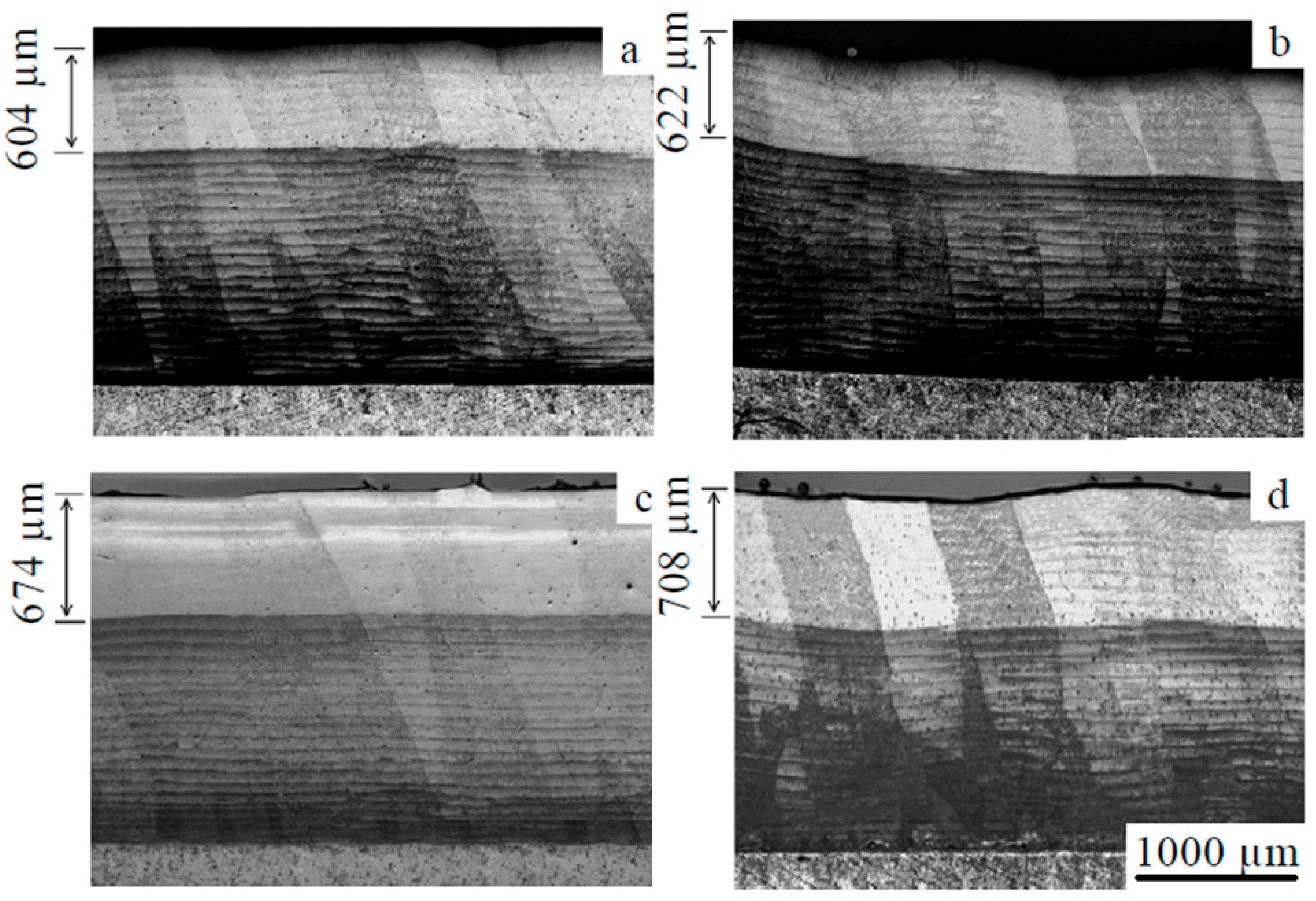 Coatings 14 01495 g003