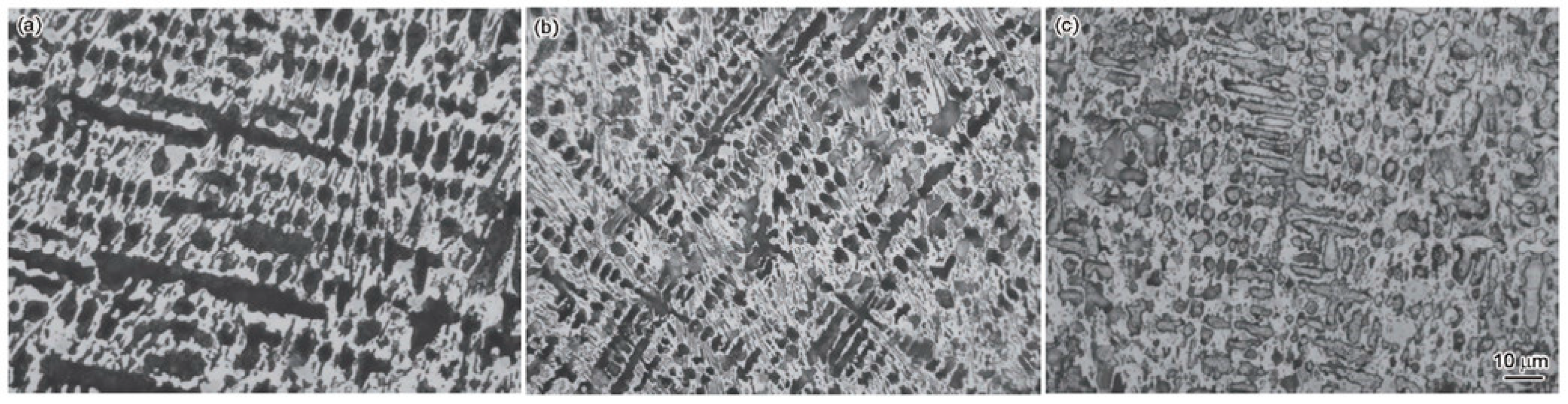 Coatings 14 01495 g004