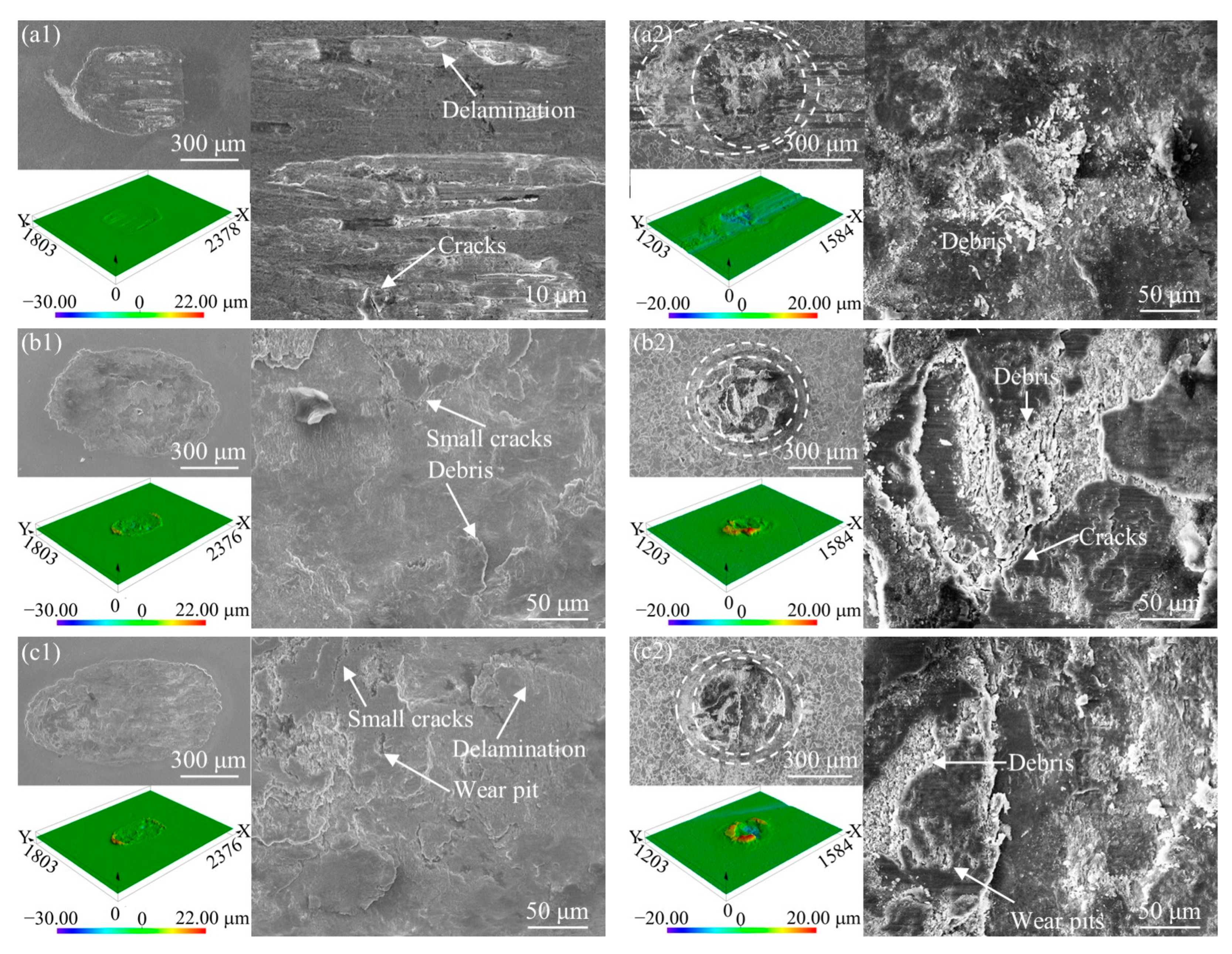 Coatings 14 01496 g005a