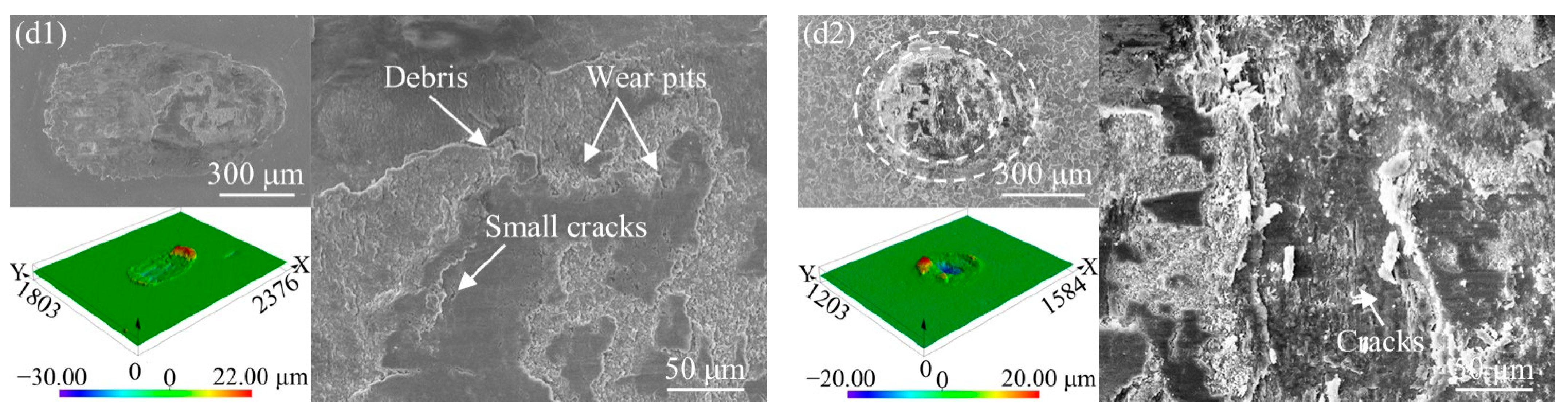 Coatings 14 01496 g005b