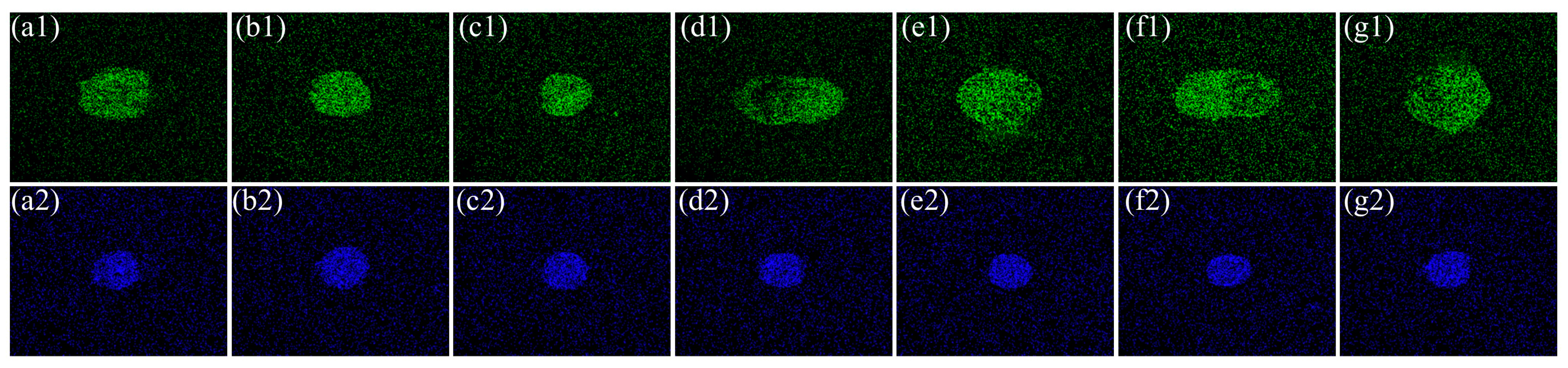 Coatings 14 01496 g006