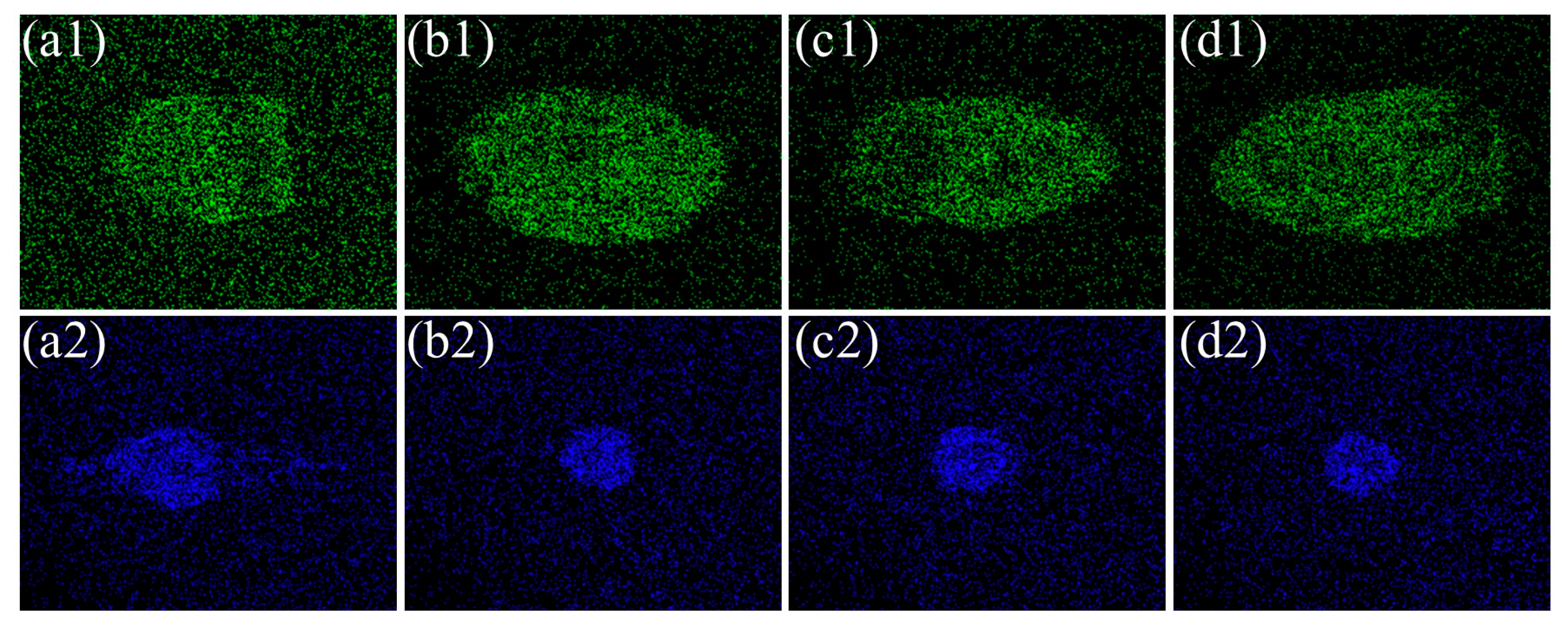 Coatings 14 01496 g007