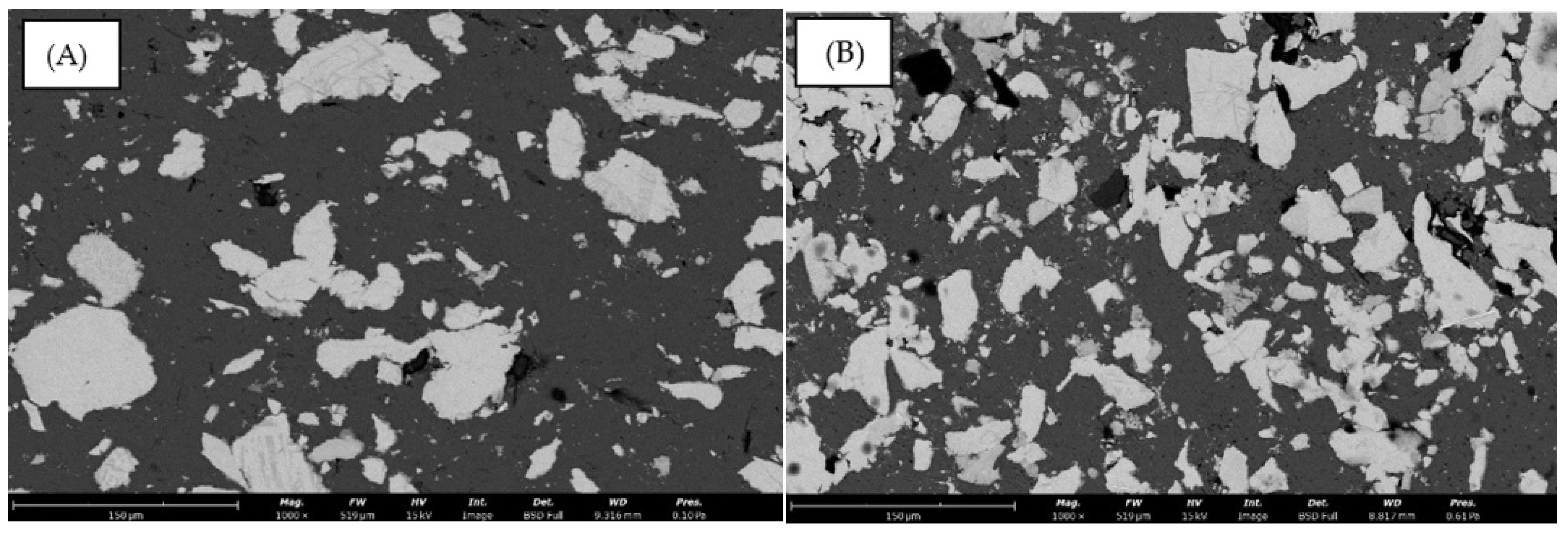 Coatings 14 01497 g007