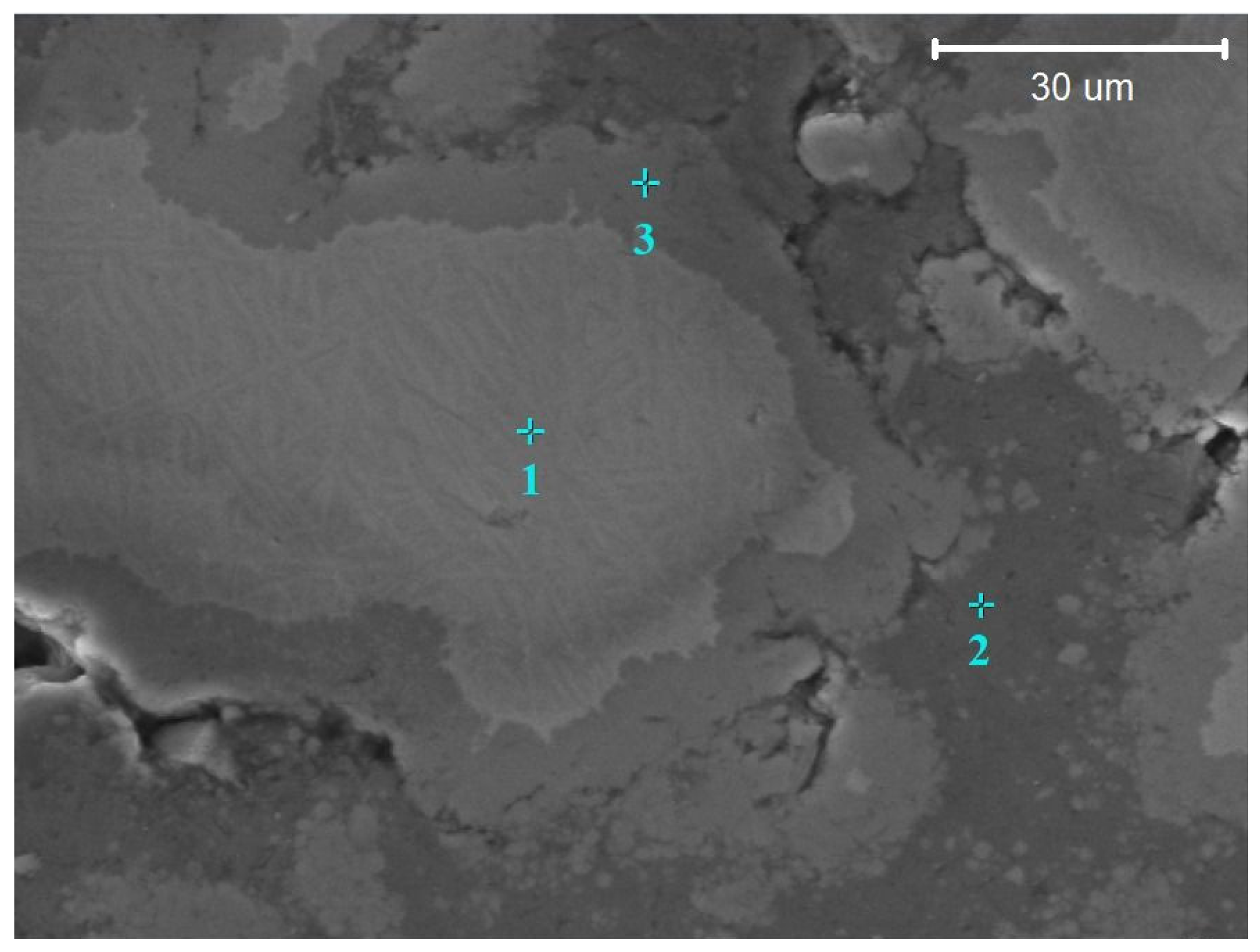 Coatings 14 01497 g009