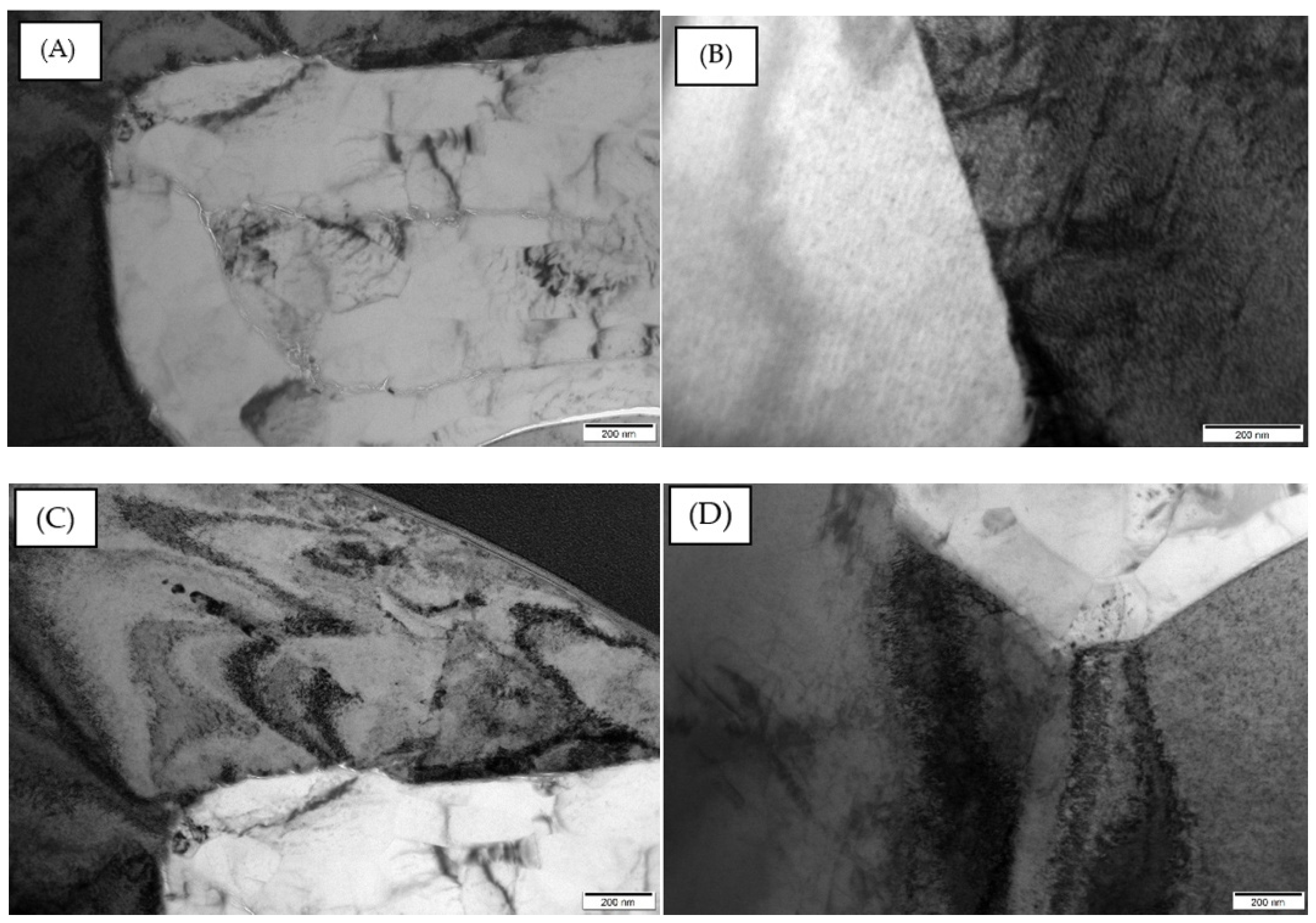 Coatings 14 01497 g010