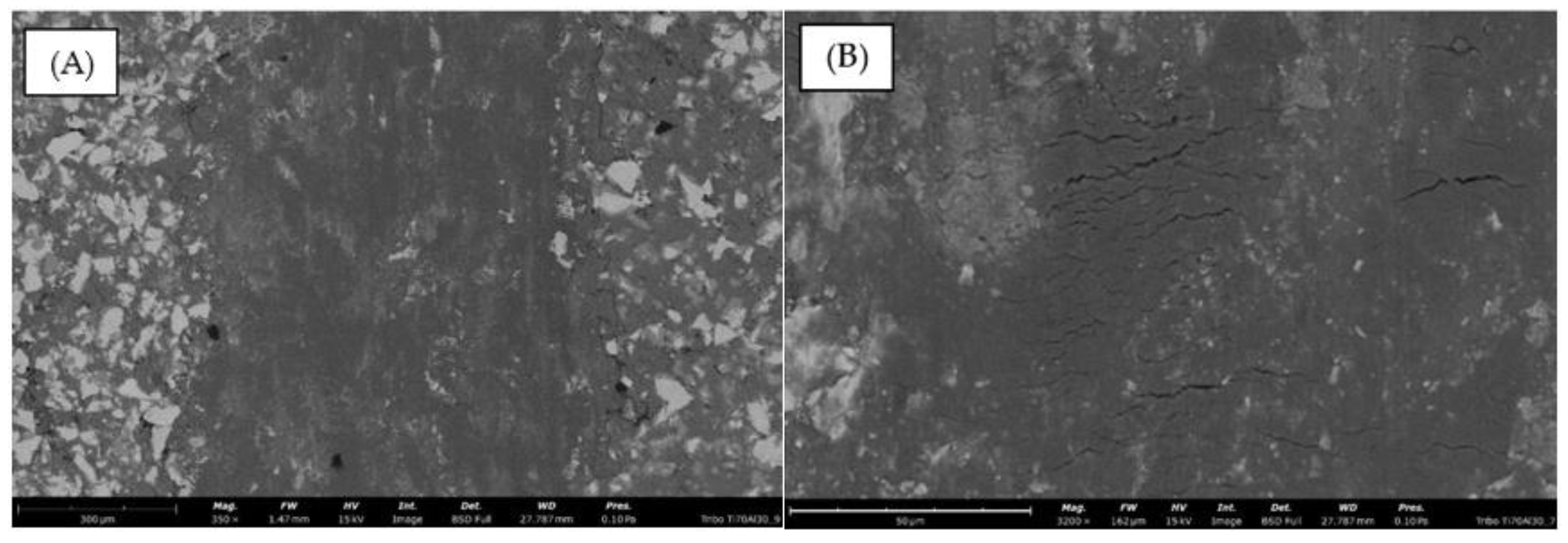 Coatings 14 01497 g018