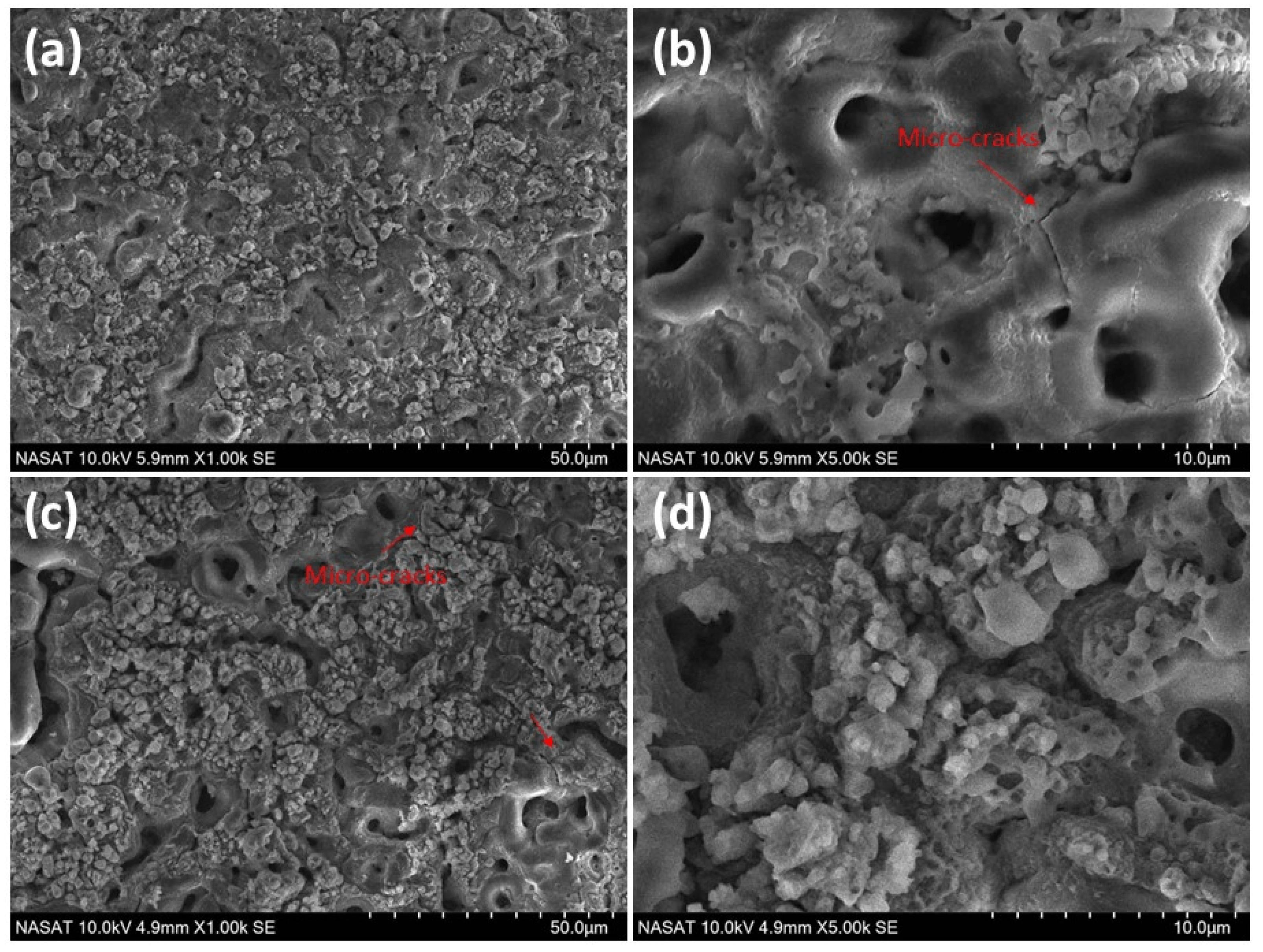 Coatings 14 01498 g002
