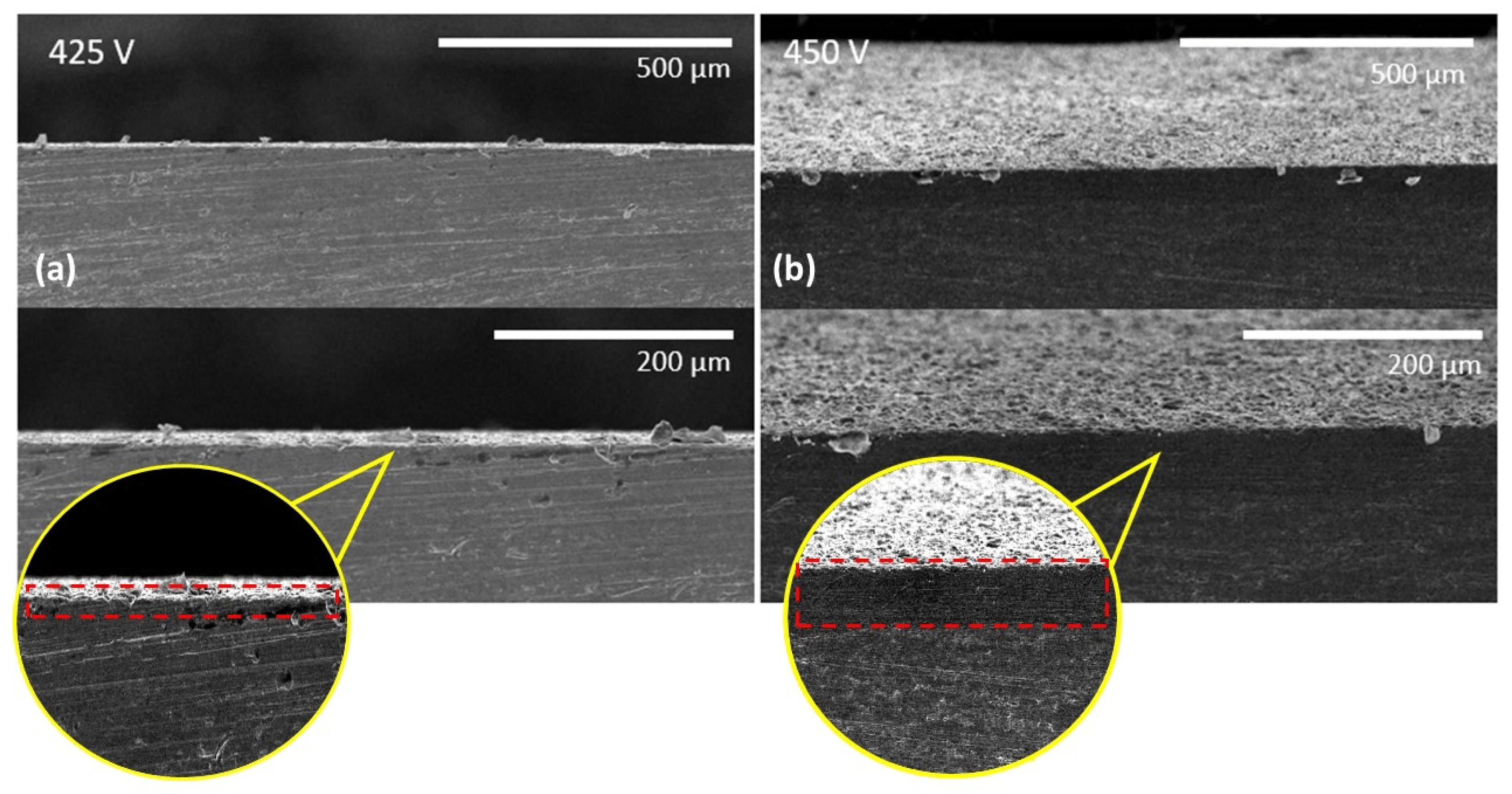 Coatings 14 01498 g005