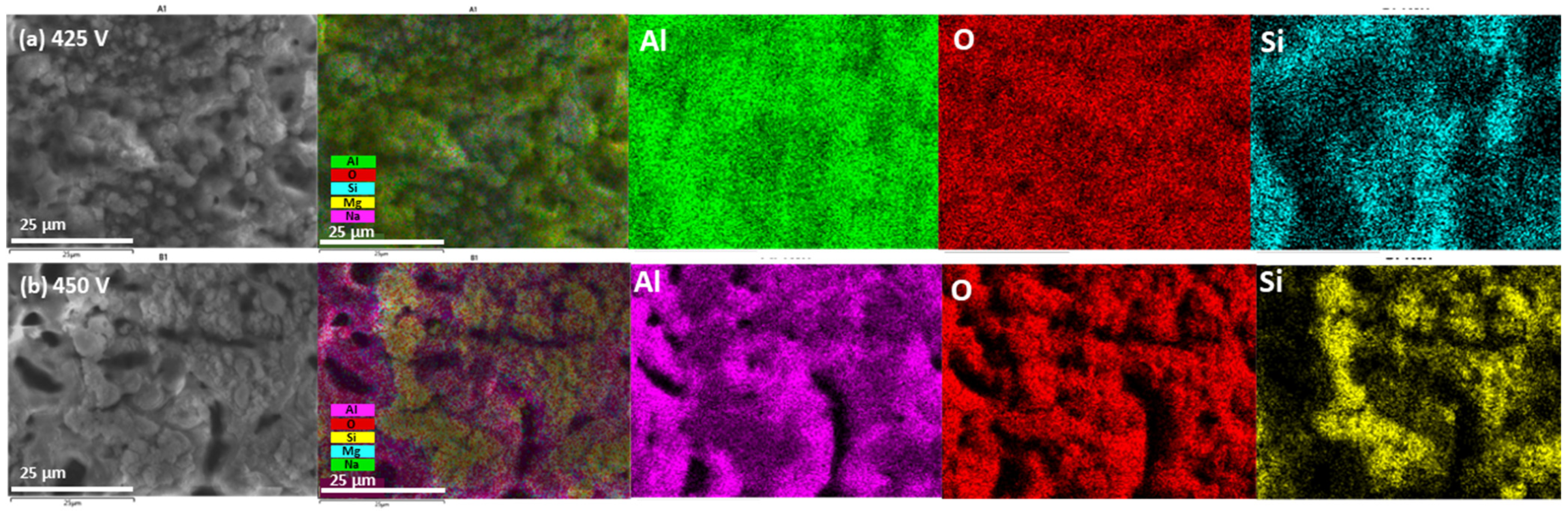Coatings 14 01498 g006