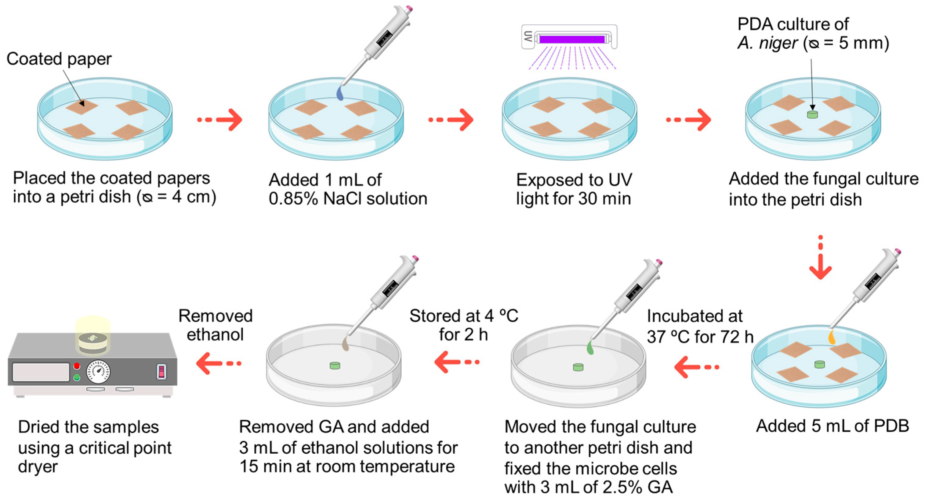 Coatings 14 01501 sch002