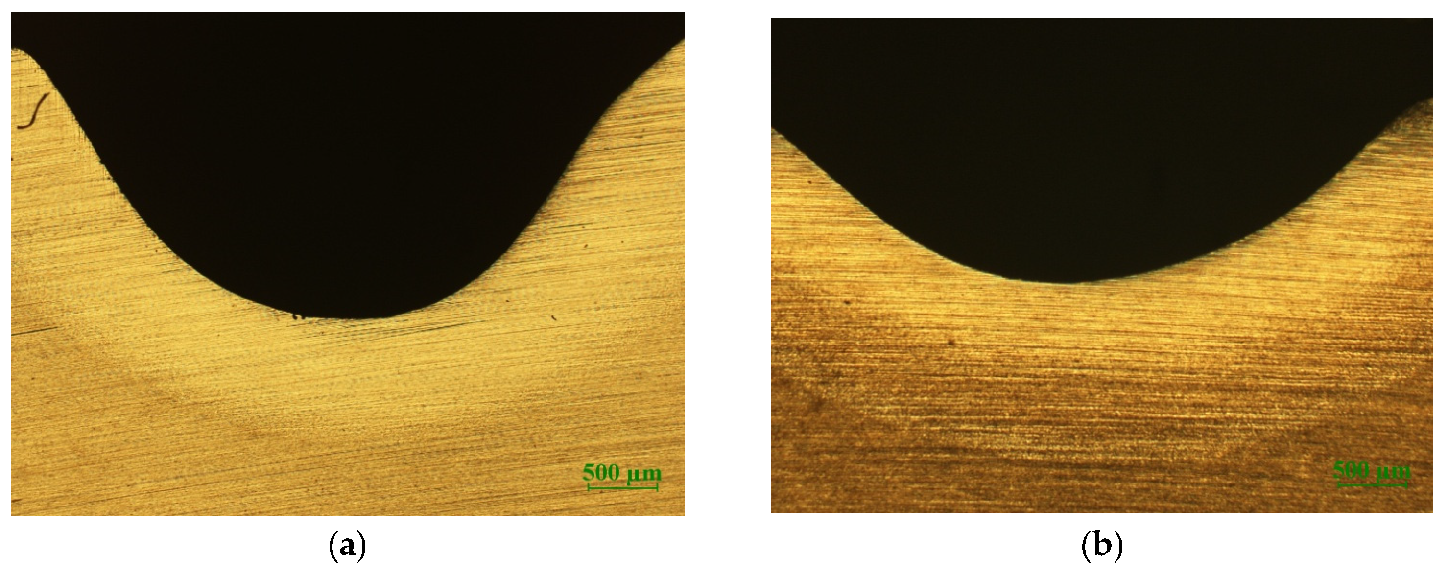 Coatings 14 01502 g006