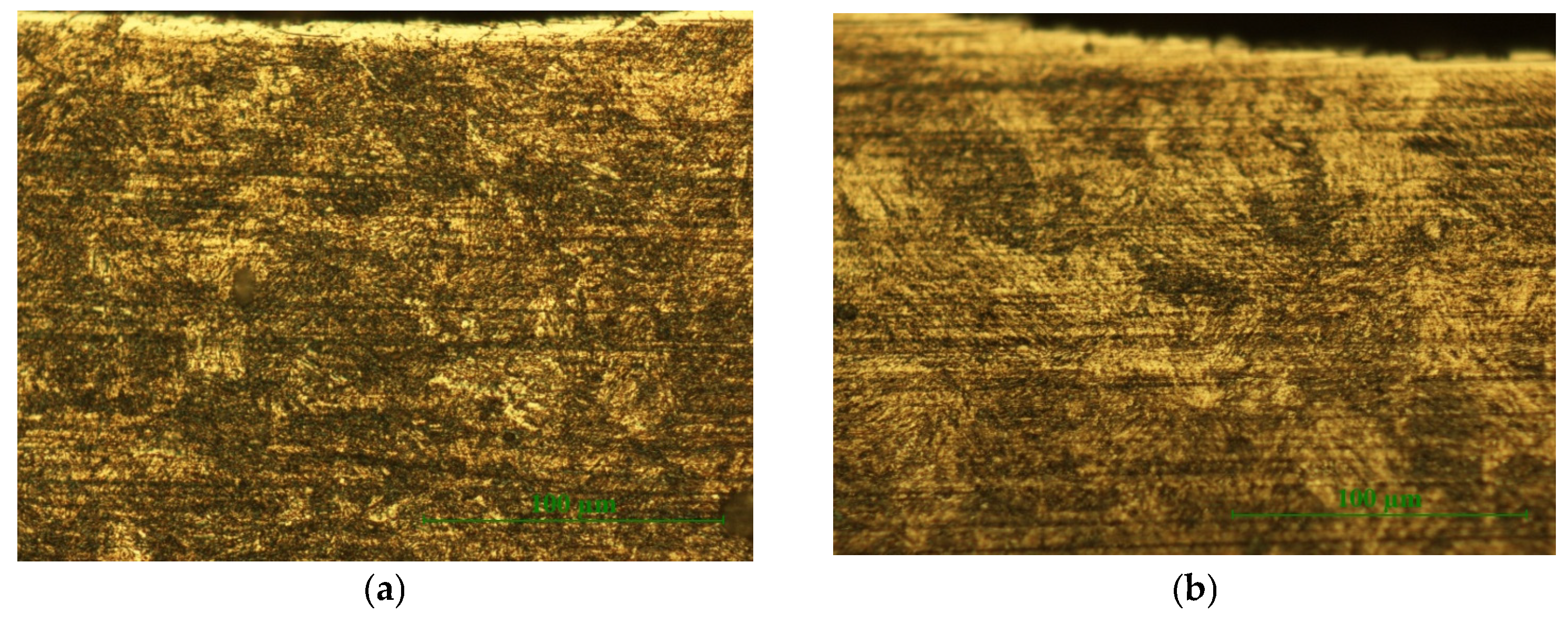 Coatings 14 01502 g007