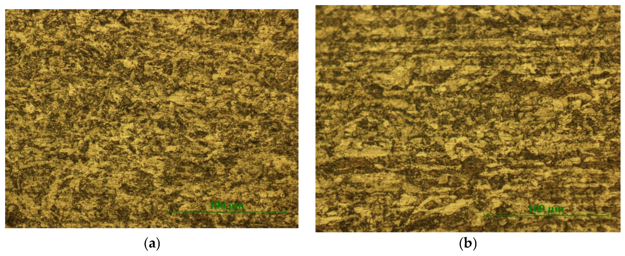 Coatings 14 01502 g009