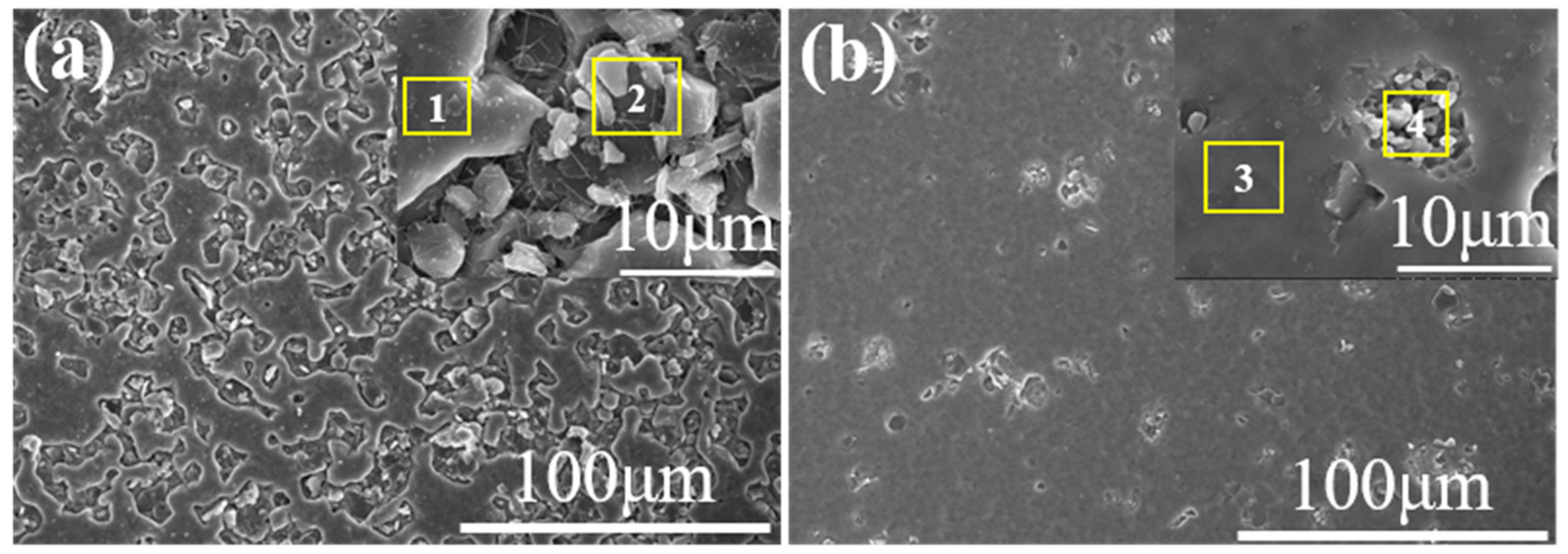Coatings 14 01507 g002