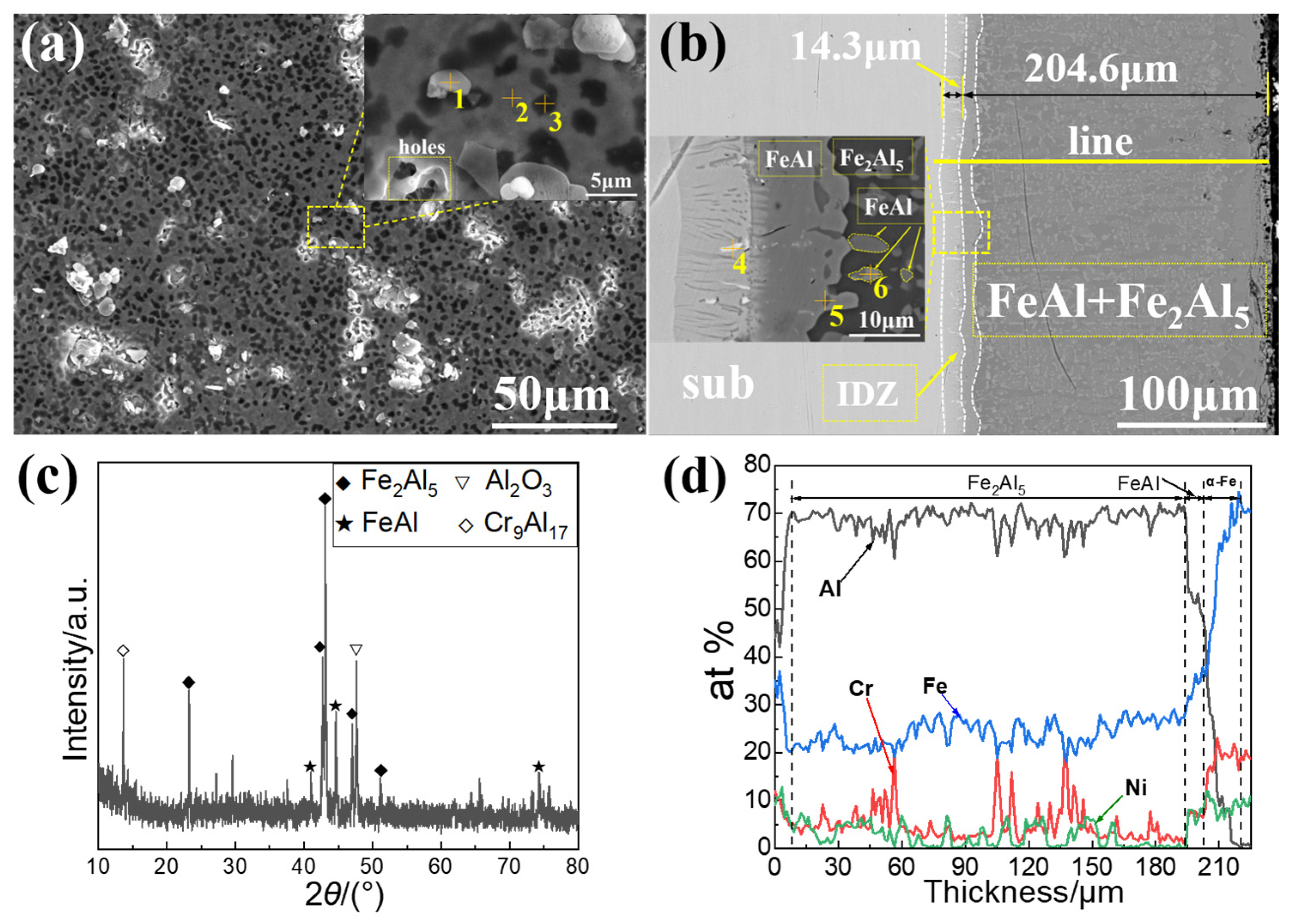 Coatings 14 01507 g006
