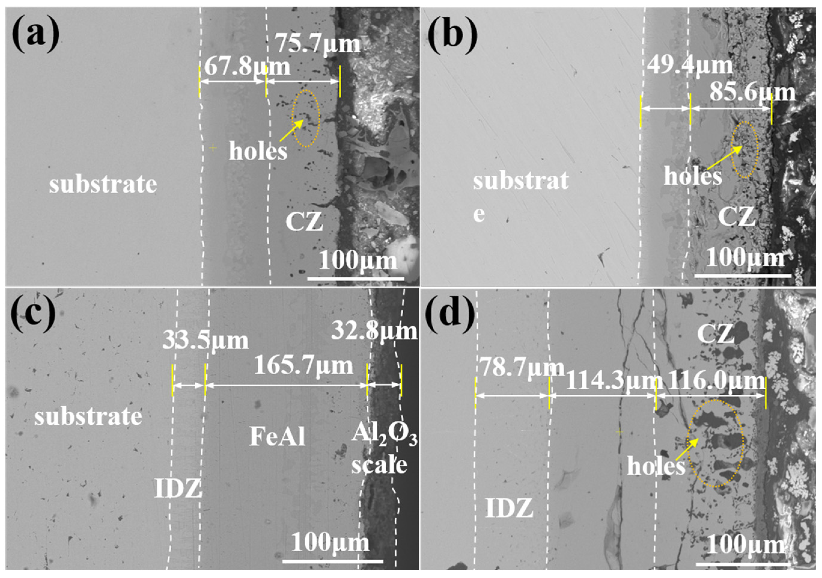 Coatings 14 01507 g009