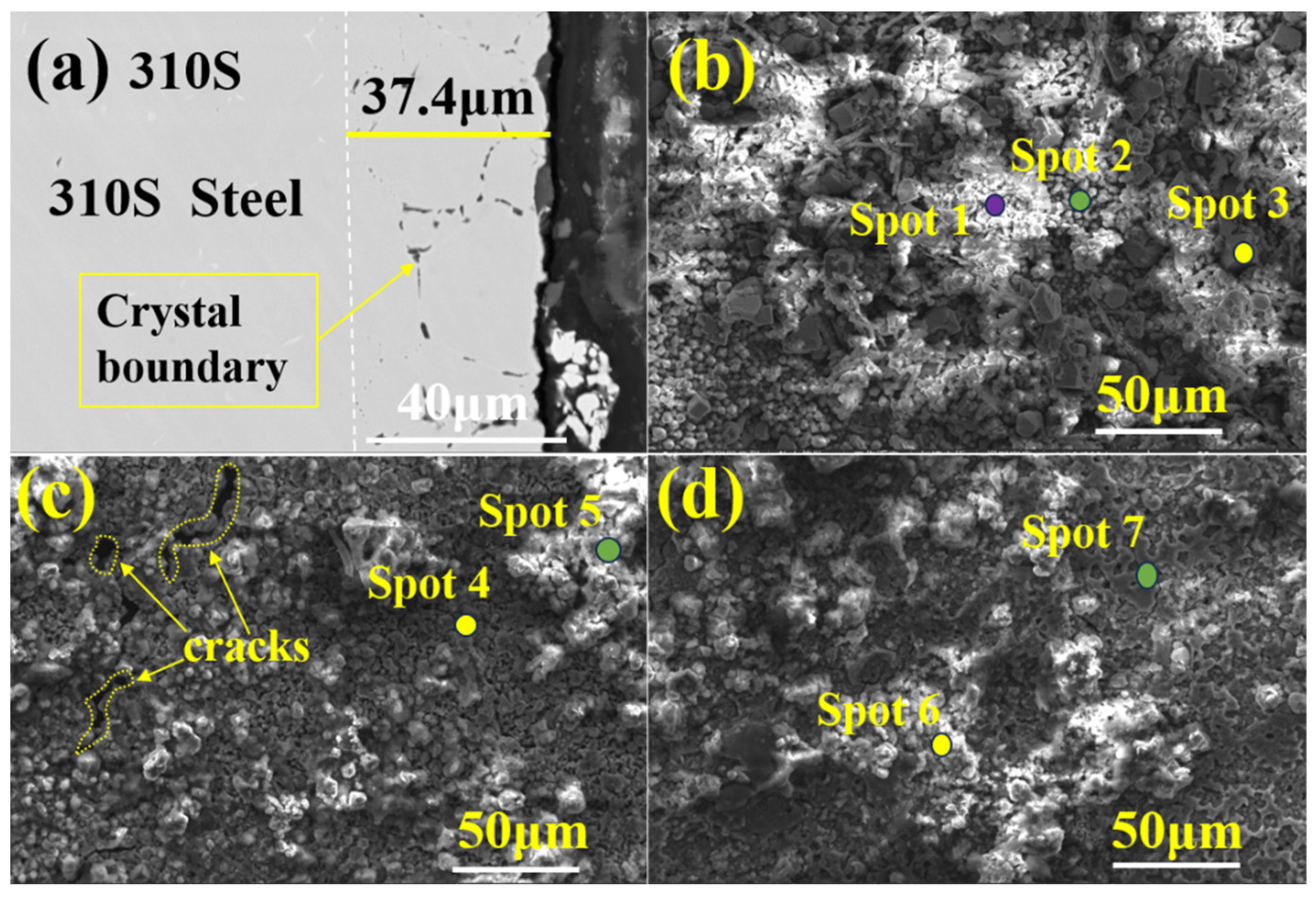 Coatings 14 01507 g010