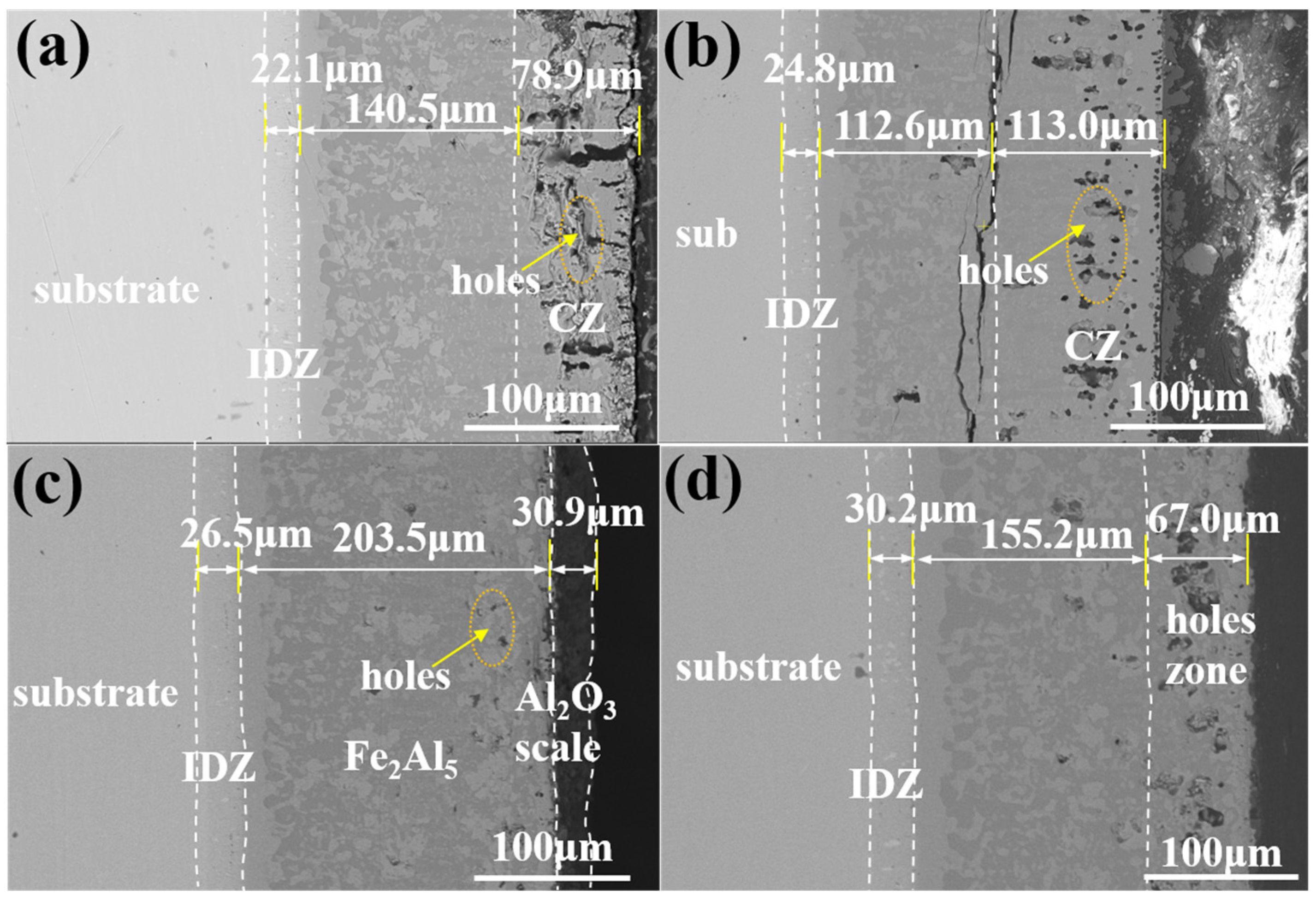 Coatings 14 01507 g013