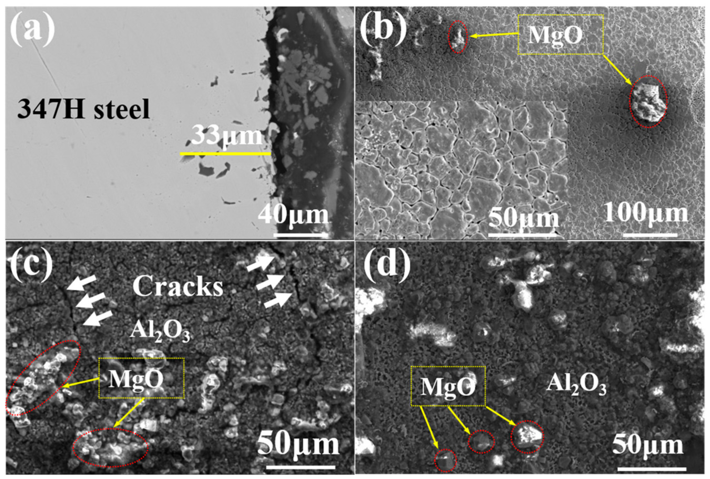Coatings 14 01507 g014