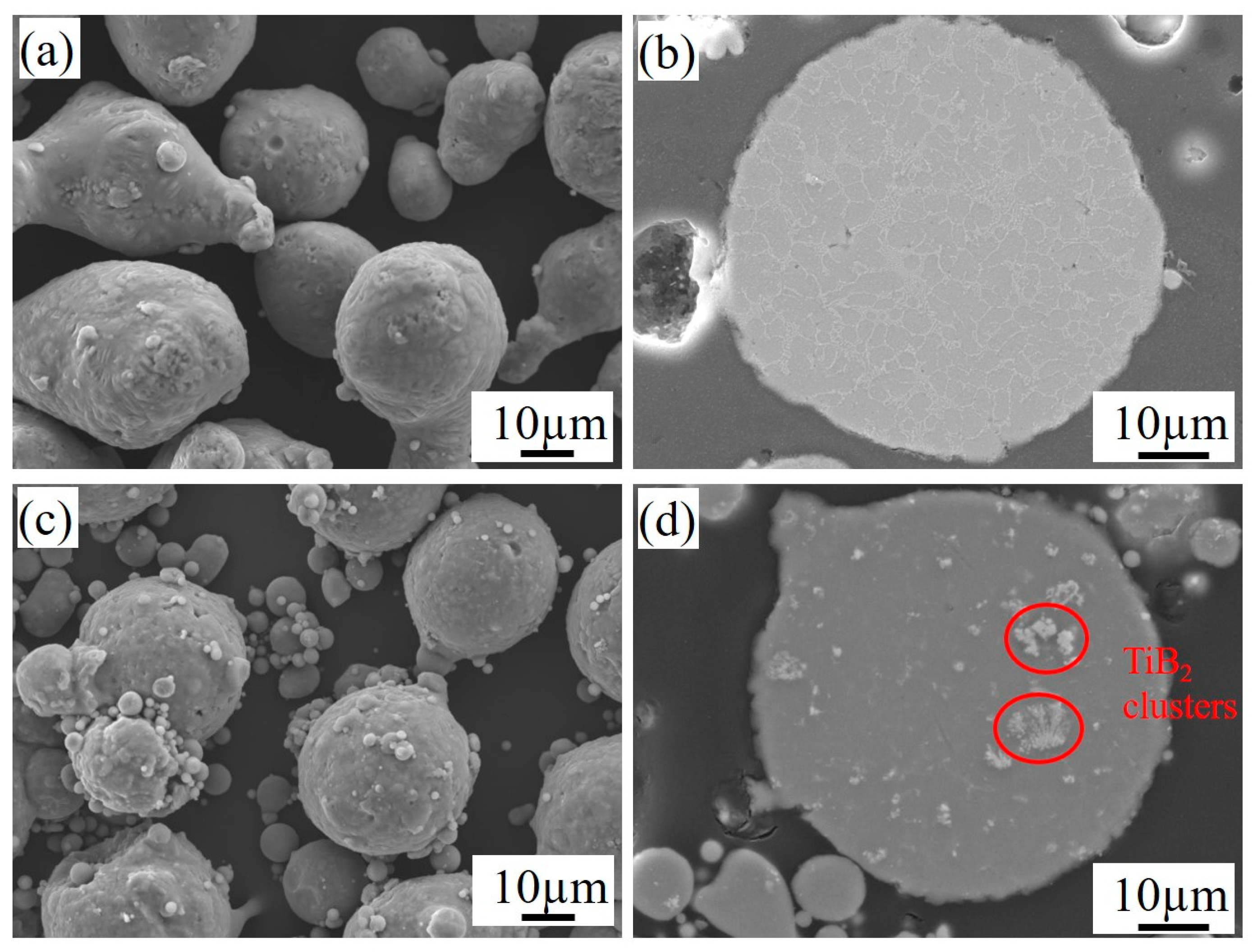 Coatings 14 01509 g001