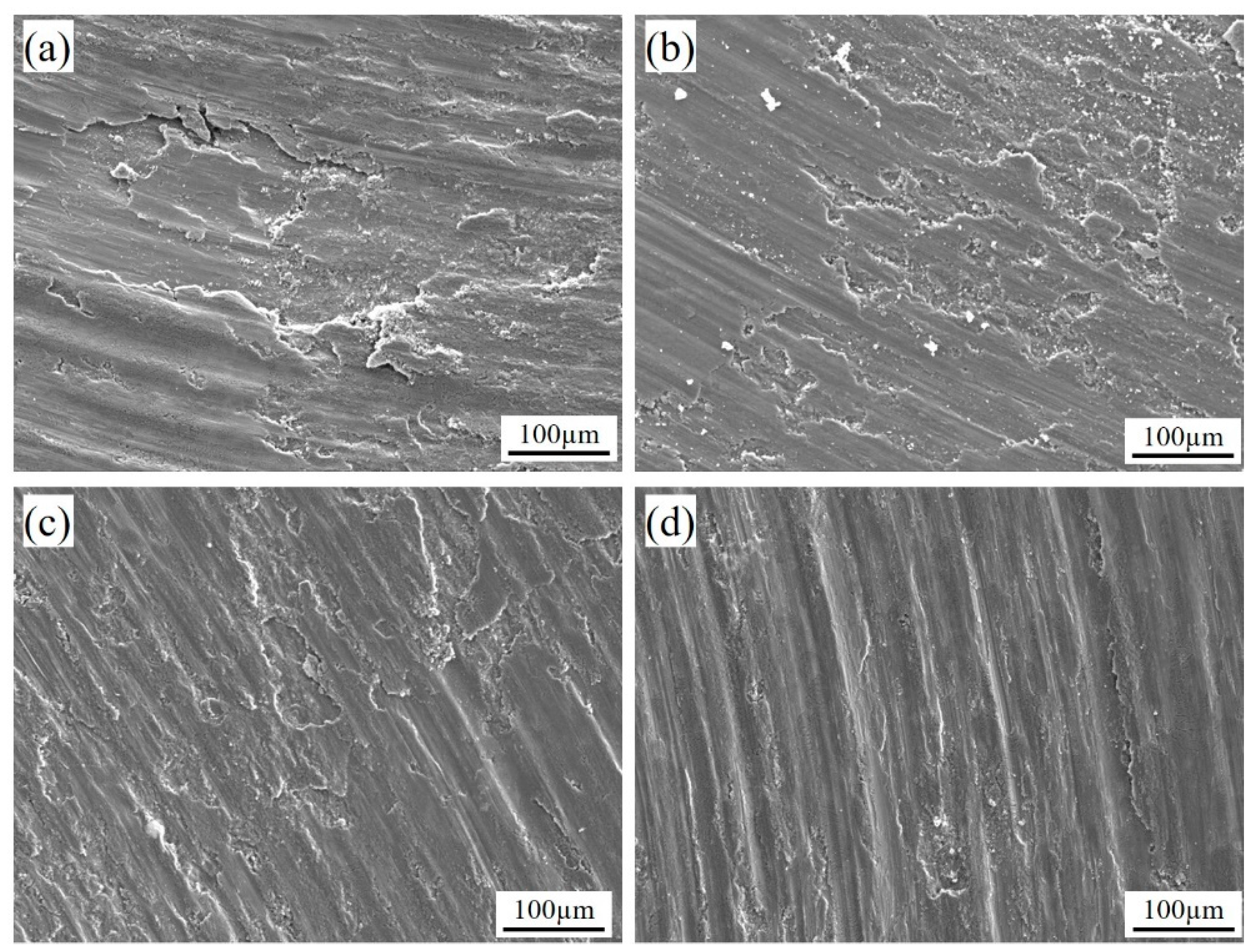 Coatings 14 01509 g015