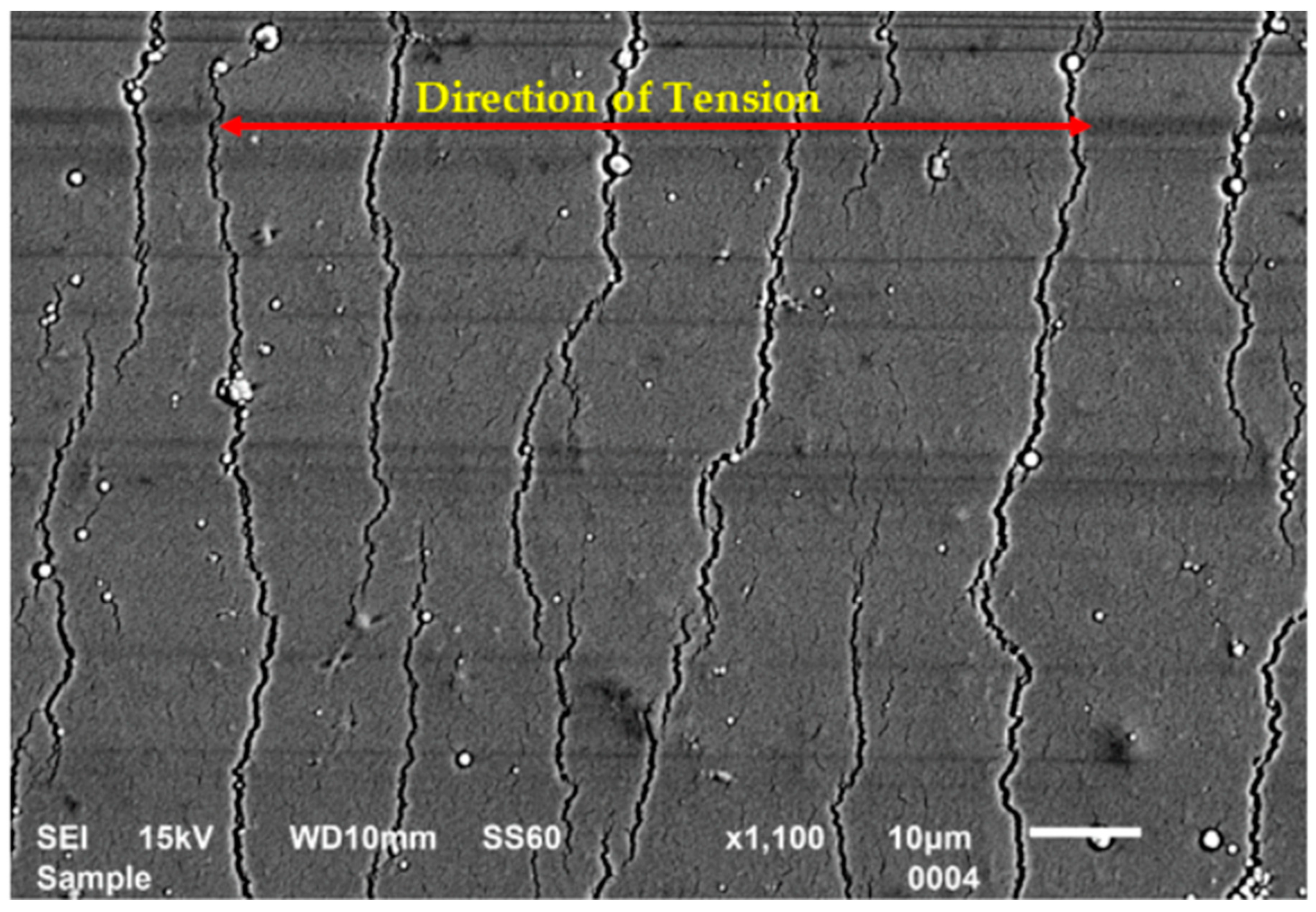 Coatings 14 01511 g011