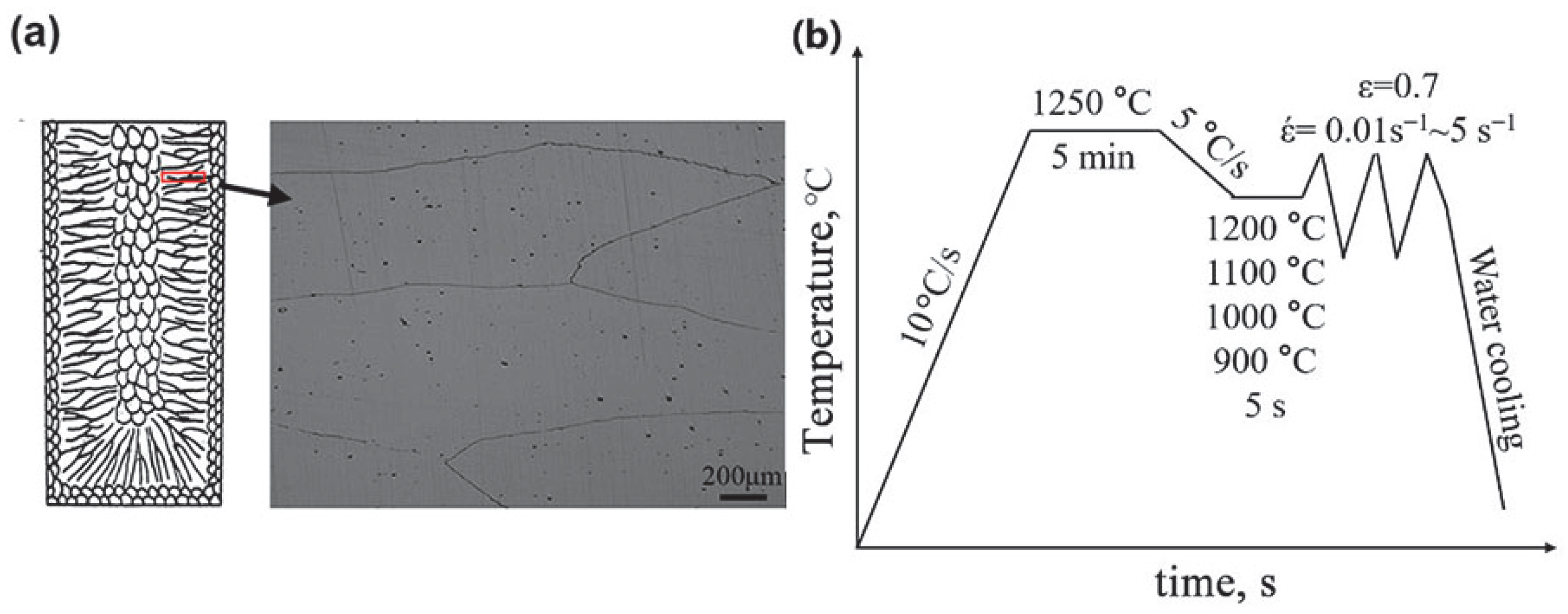 Coatings 14 01514 g001