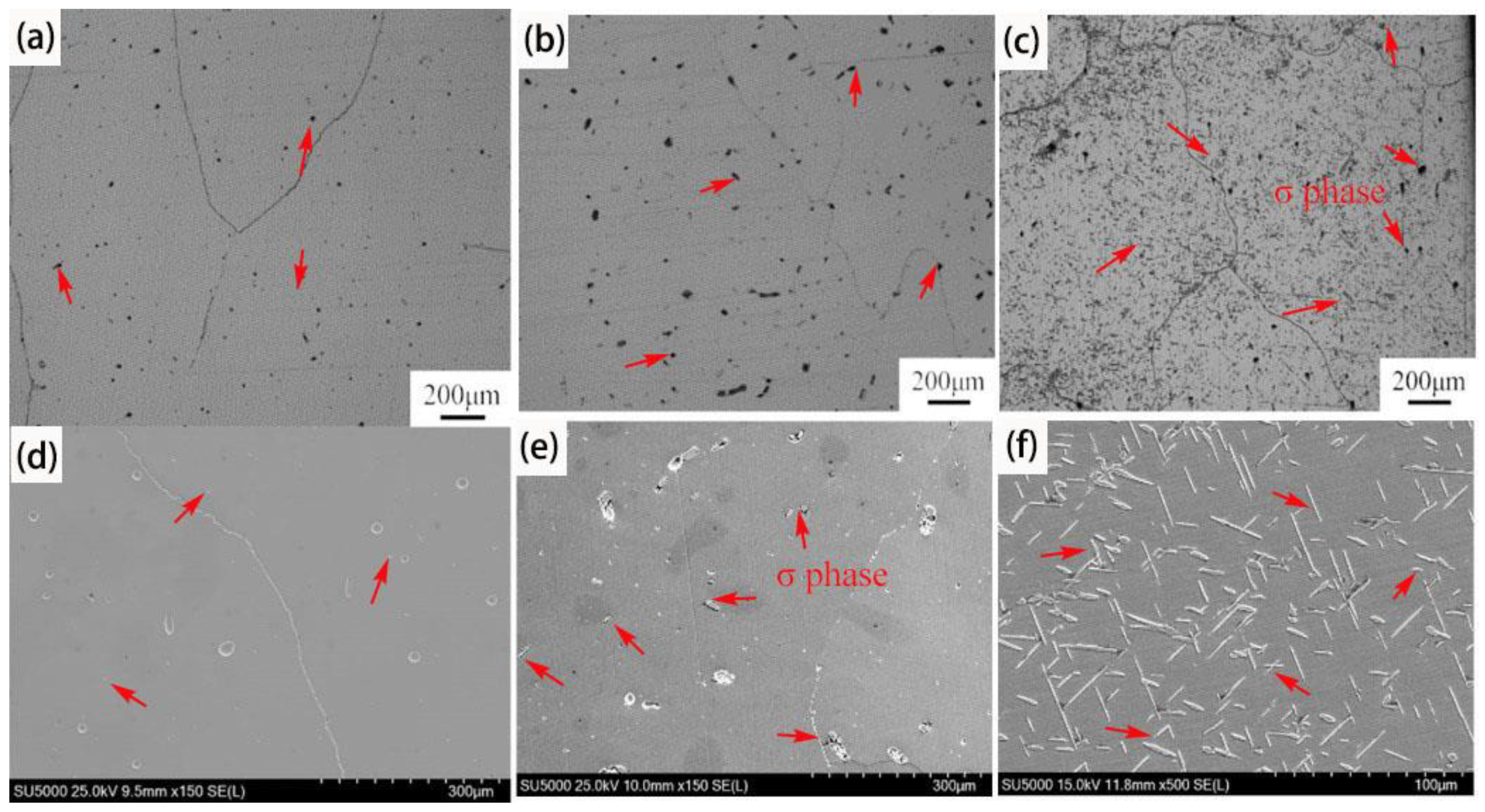 Coatings 14 01514 g004