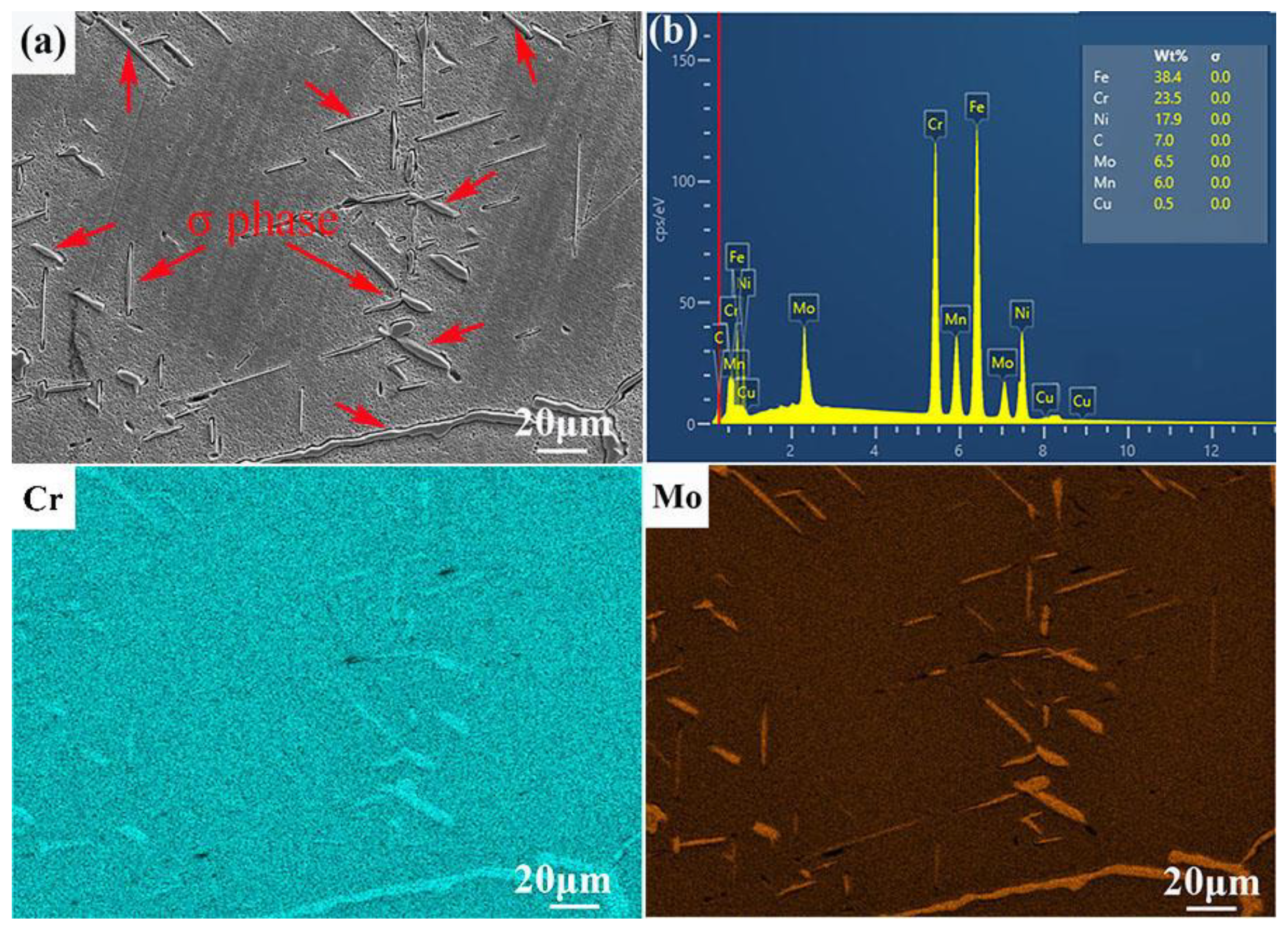 Coatings 14 01514 g005