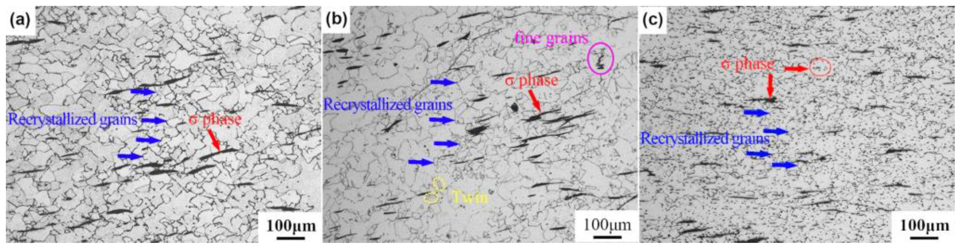 Coatings 14 01514 g017