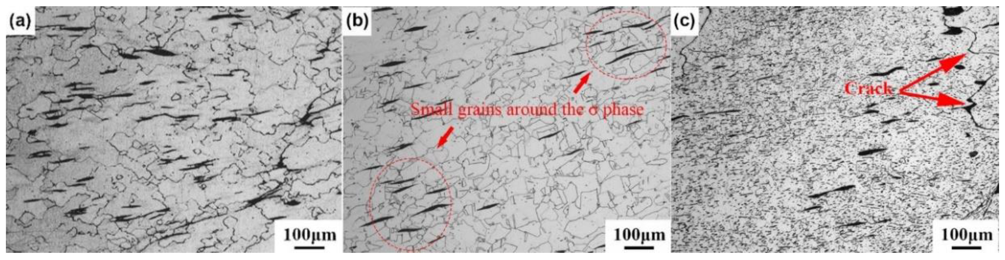 Coatings 14 01514 g019