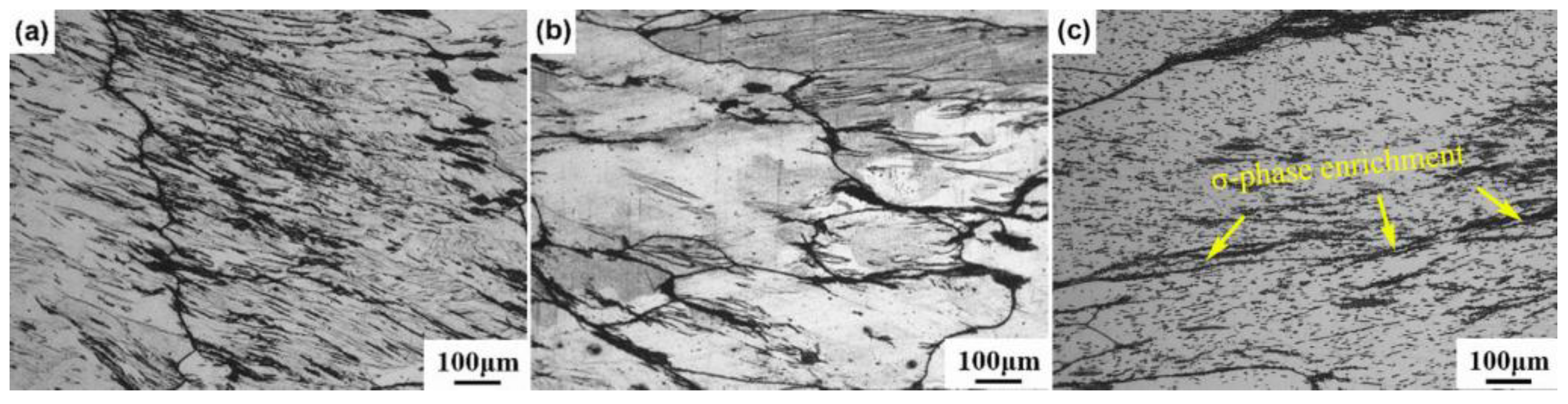 Coatings 14 01514 g021