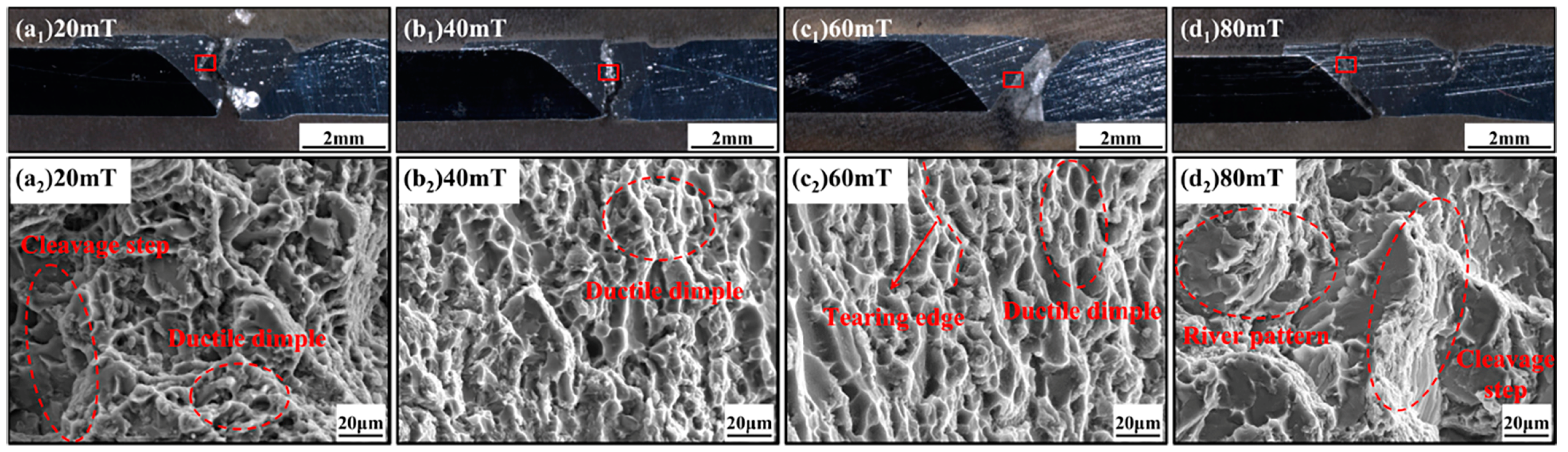 Coatings 14 01515 g008