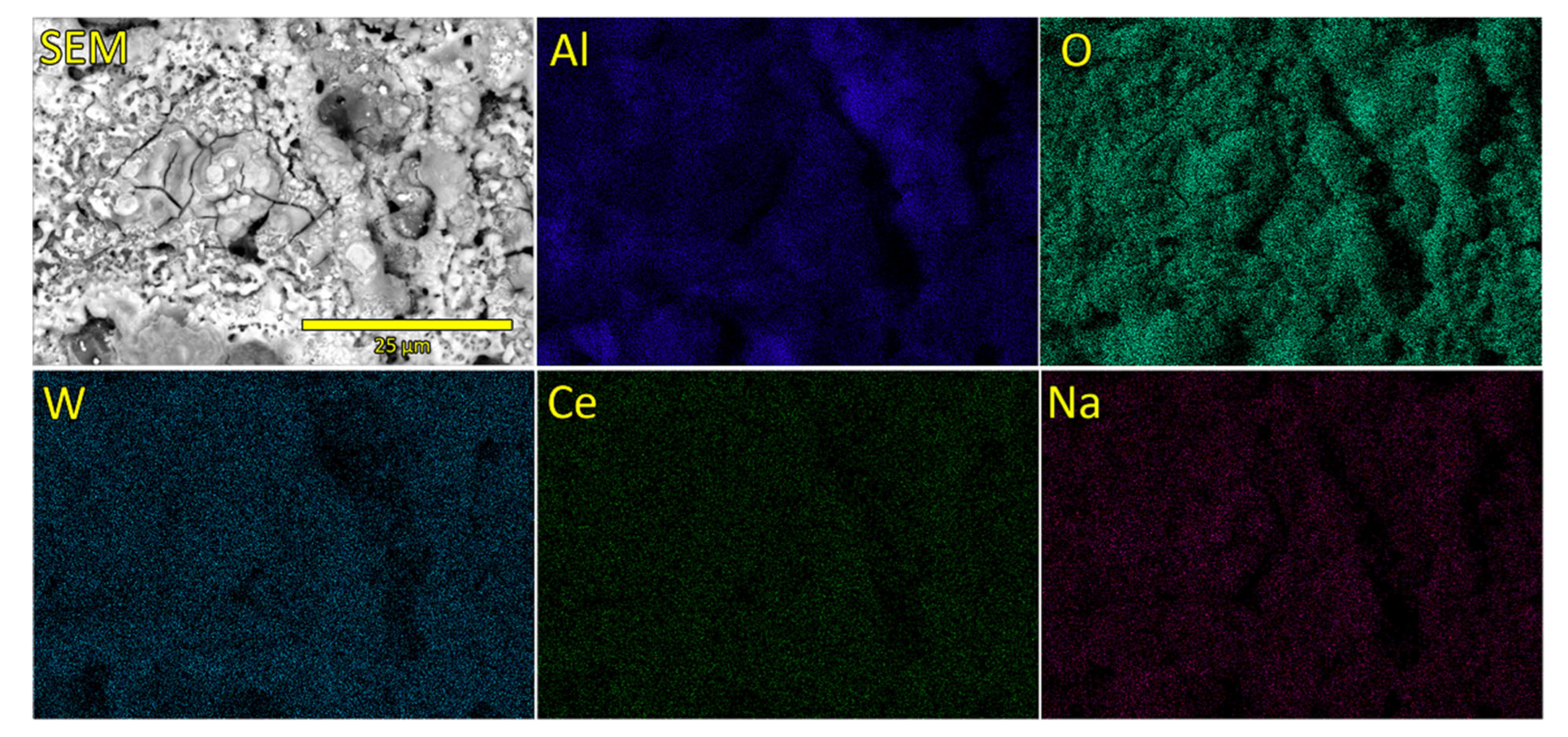 Coatings 14 01516 g004