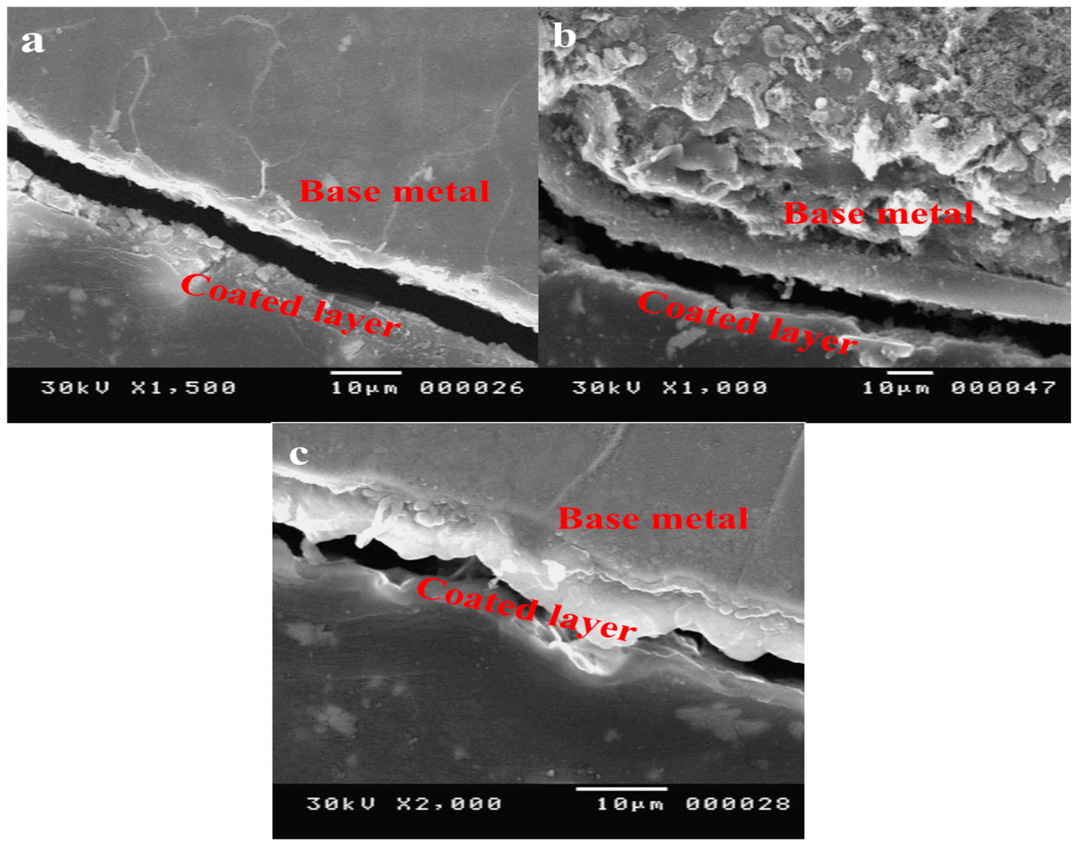 Coatings 14 01518 g003