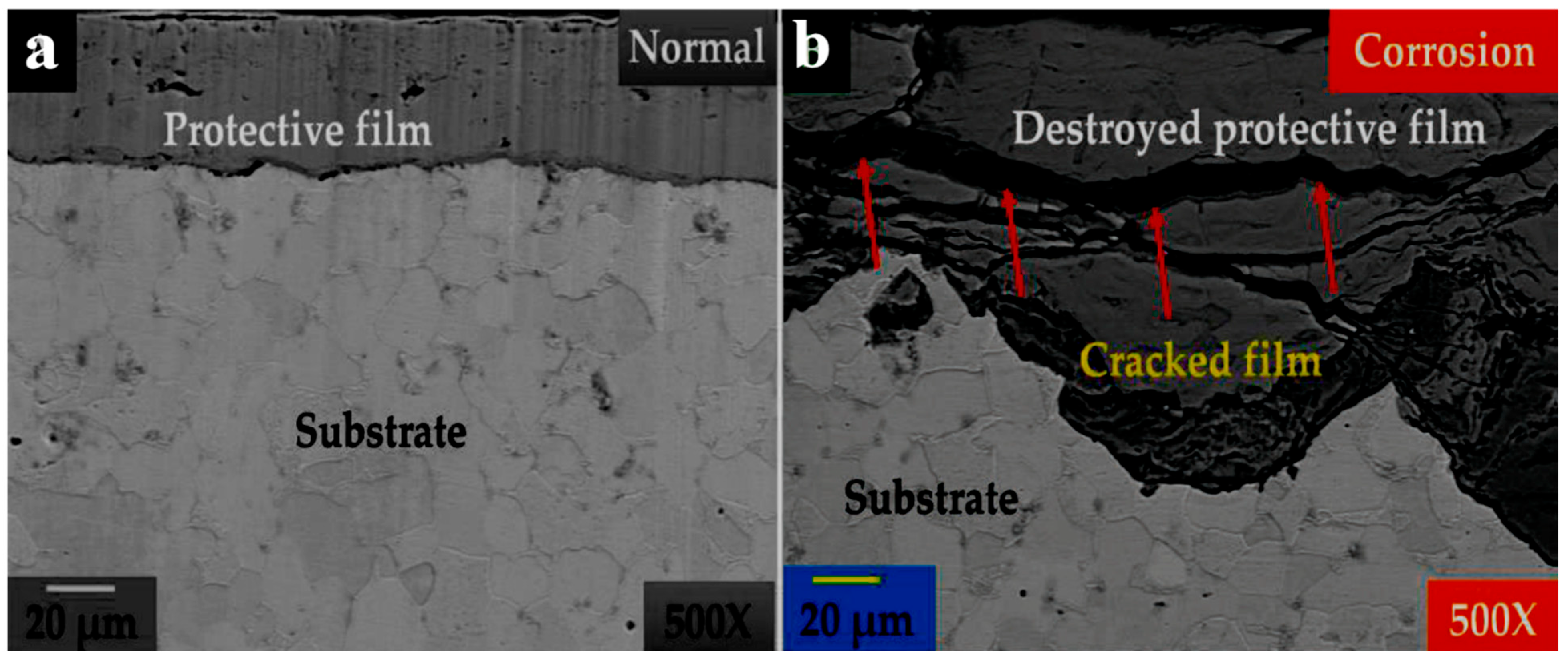 Coatings 14 01518 g006