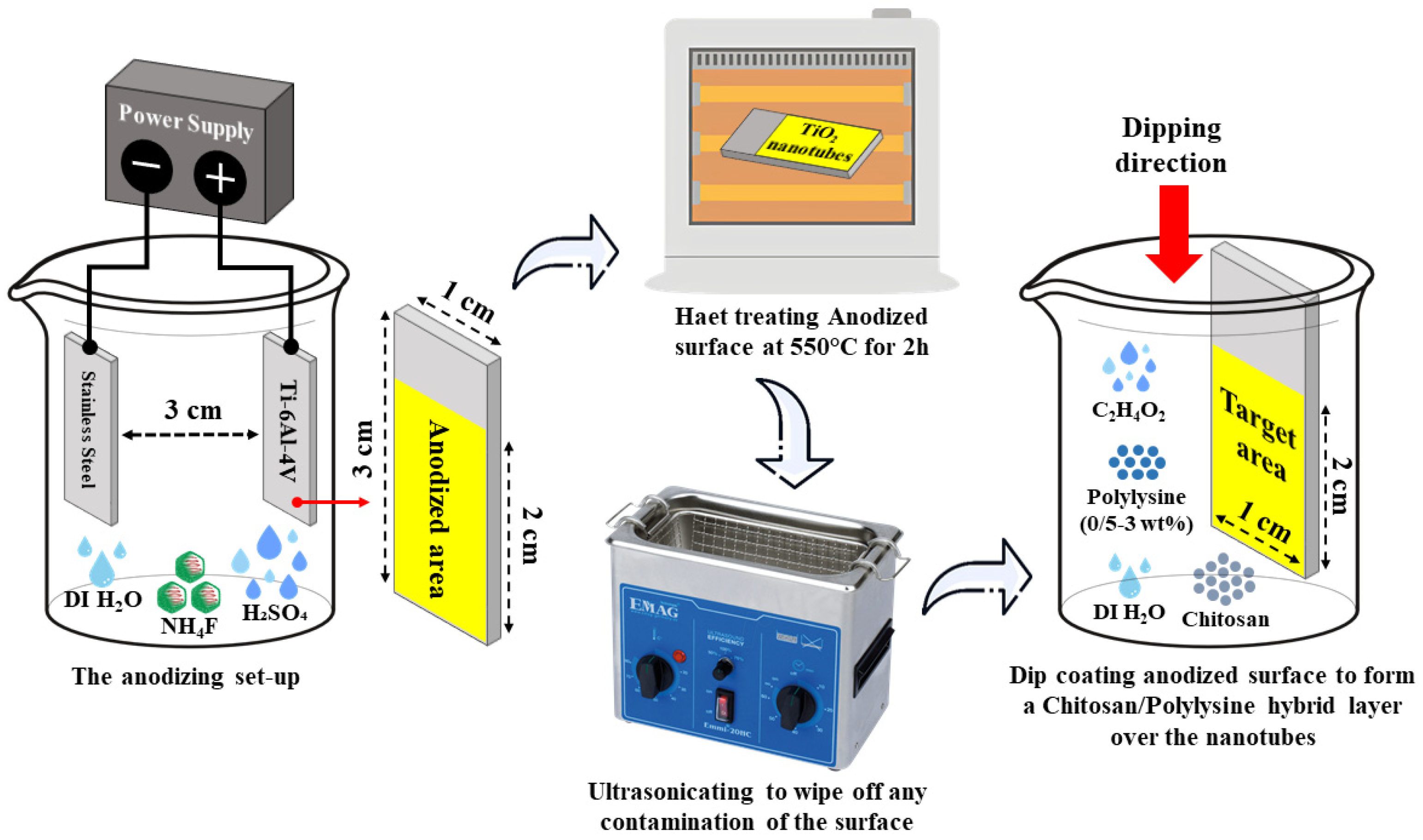 Coatings 14 01522 g001
