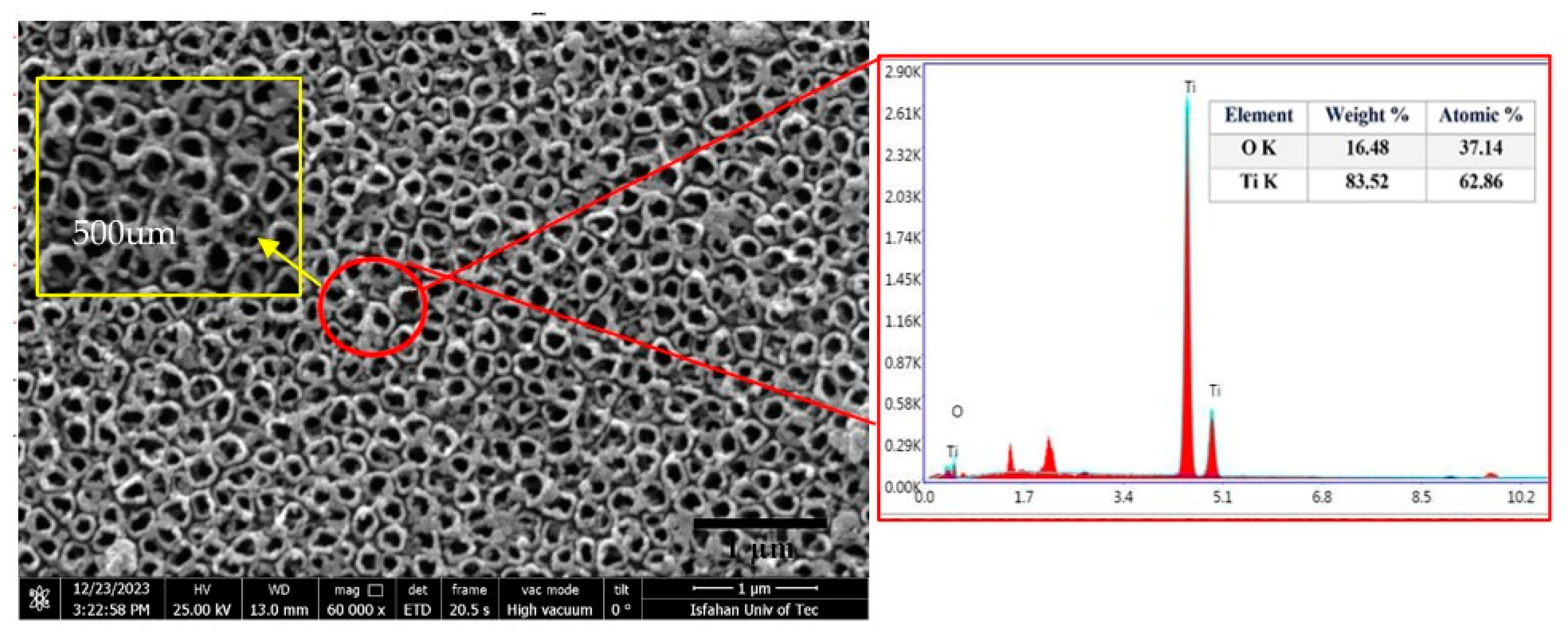 Coatings 14 01522 g004