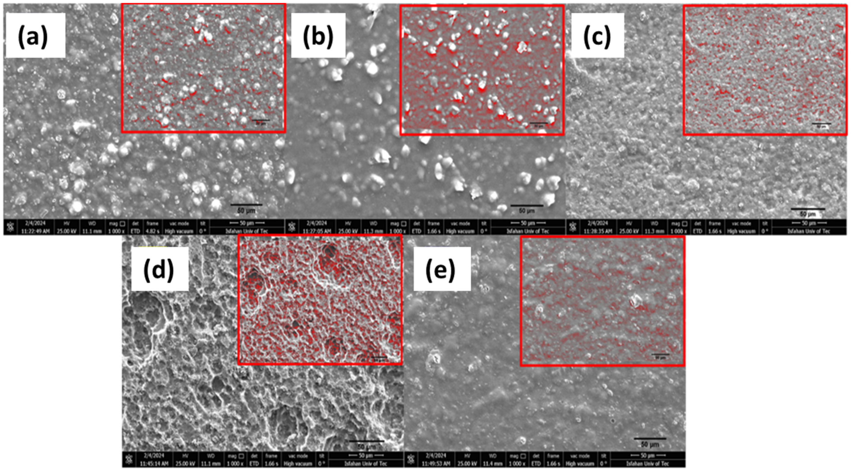 Coatings 14 01522 g005