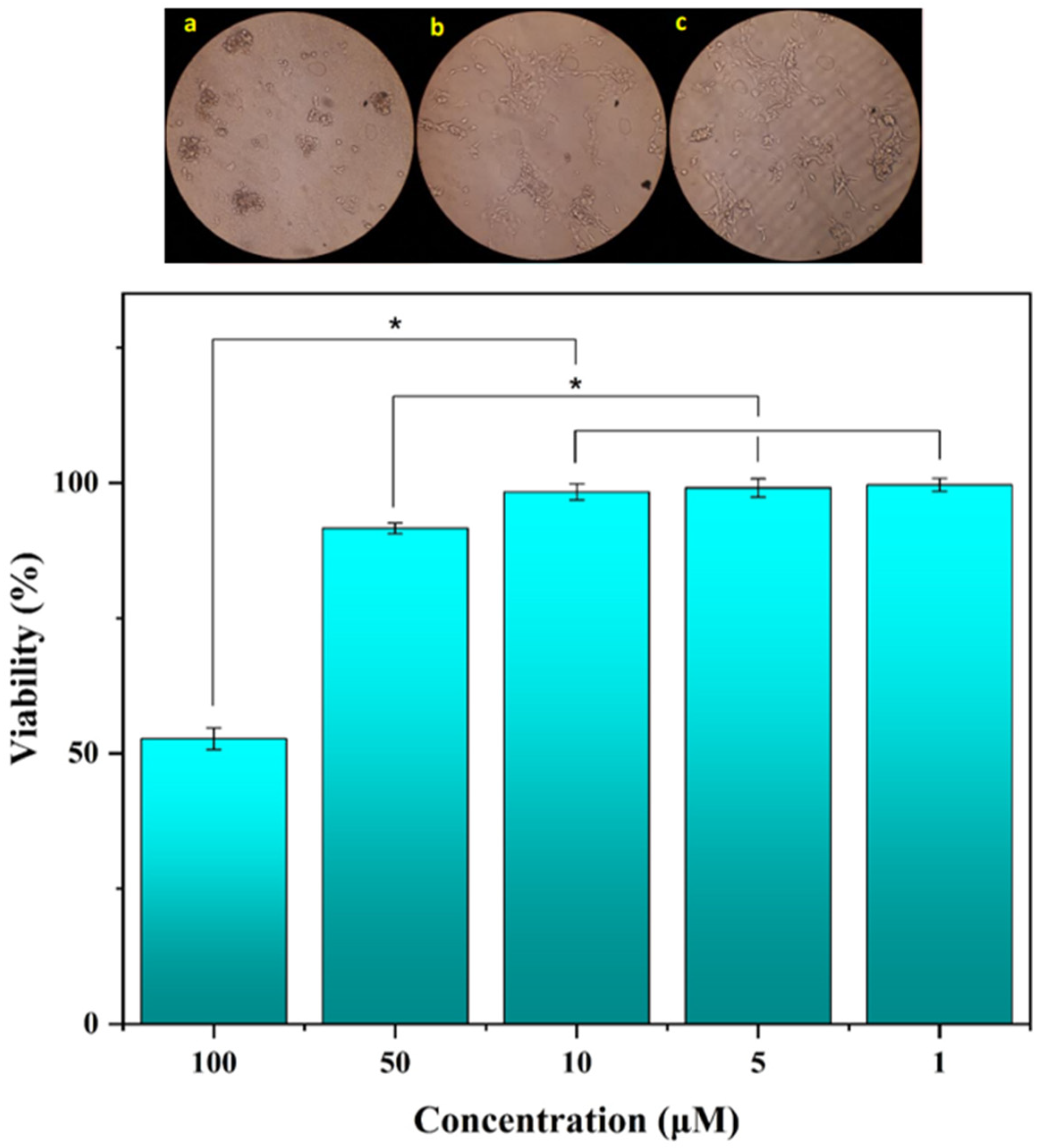 Coatings 14 01522 g010