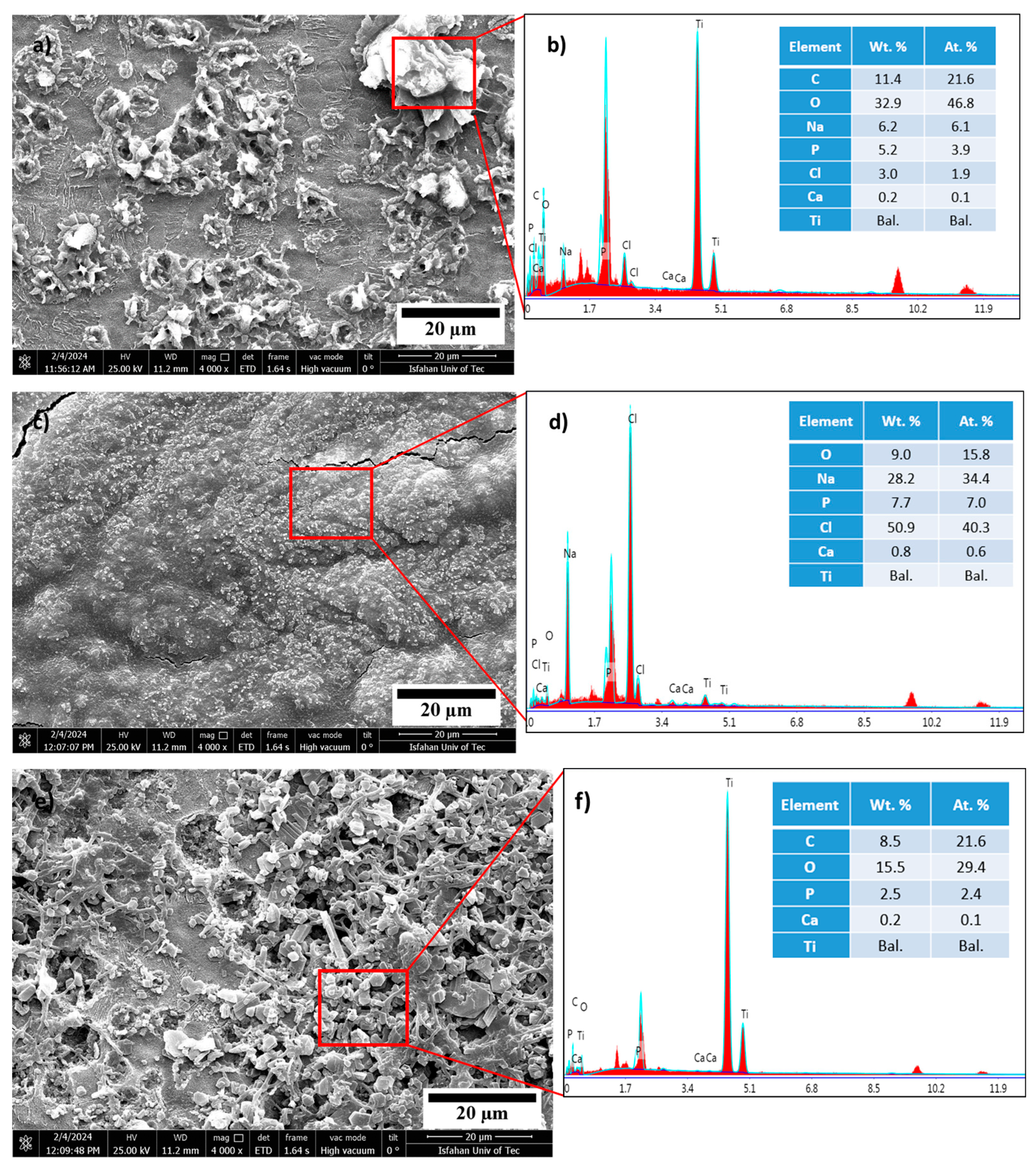 Coatings 14 01522 g013